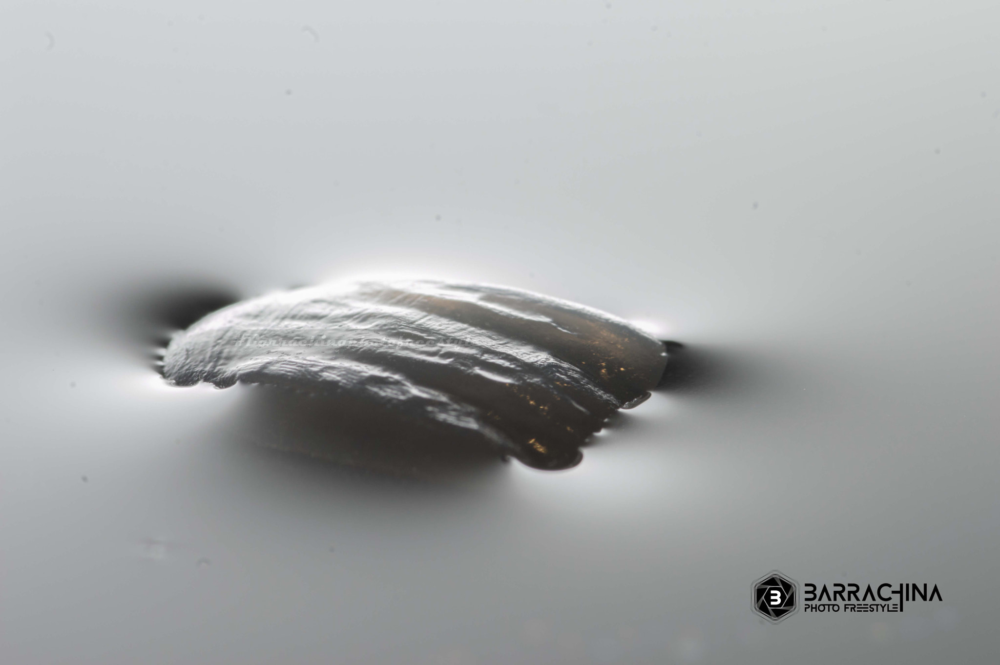 Tokina AT-X Pro 100mm F2.8 Macro sample photo. Veneer photography