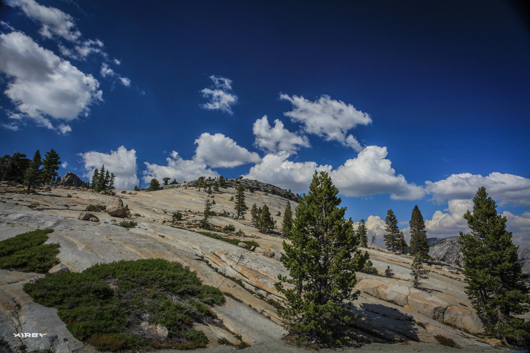 Canon EOS 5D Mark II sample photo. Pines from the rocks photography