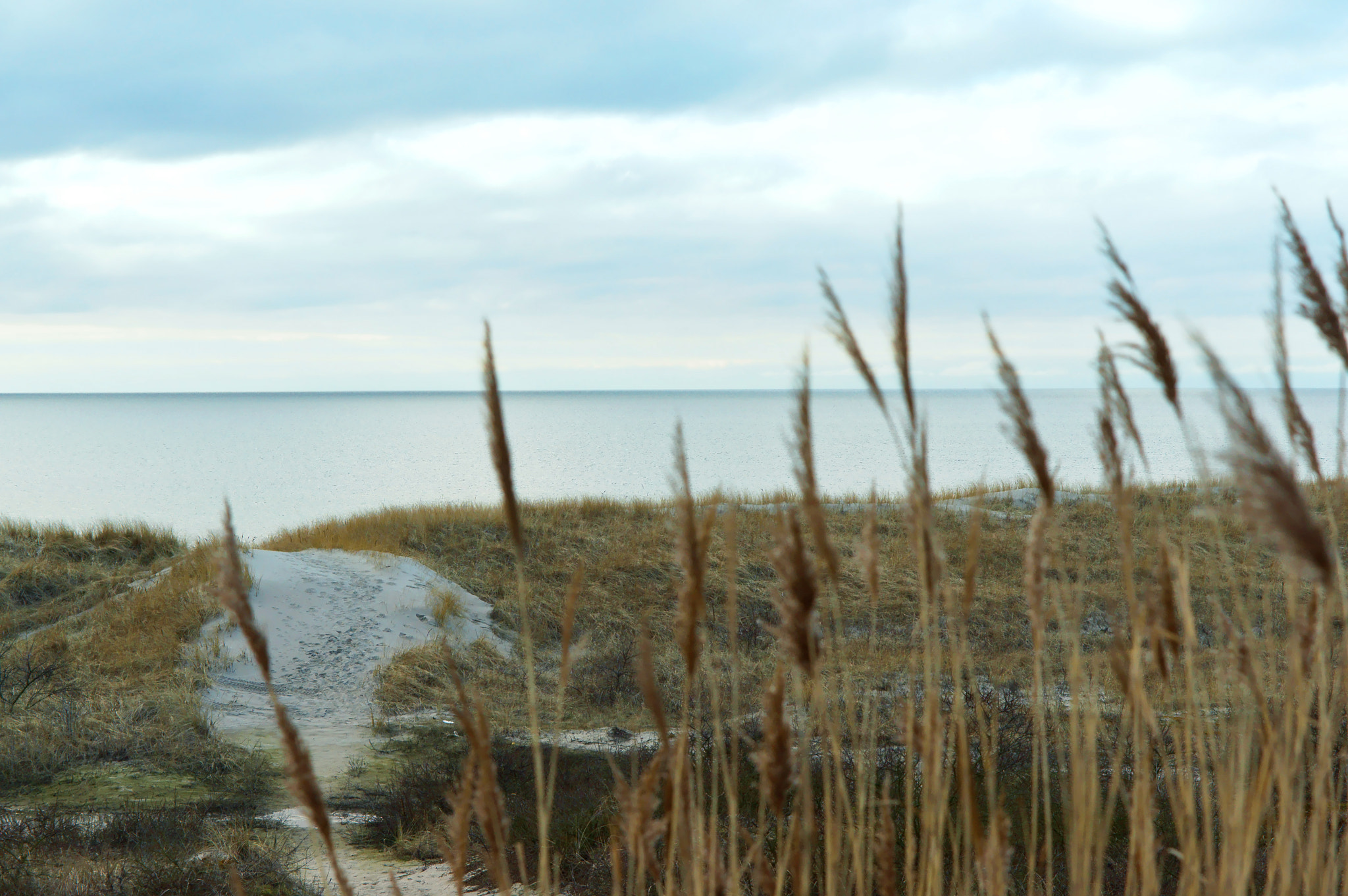 Sony Alpha NEX-3N + E 50mm F1.8 OSS sample photo. Sea, beach, sea, sand, dunes, grass, baltic sea photography