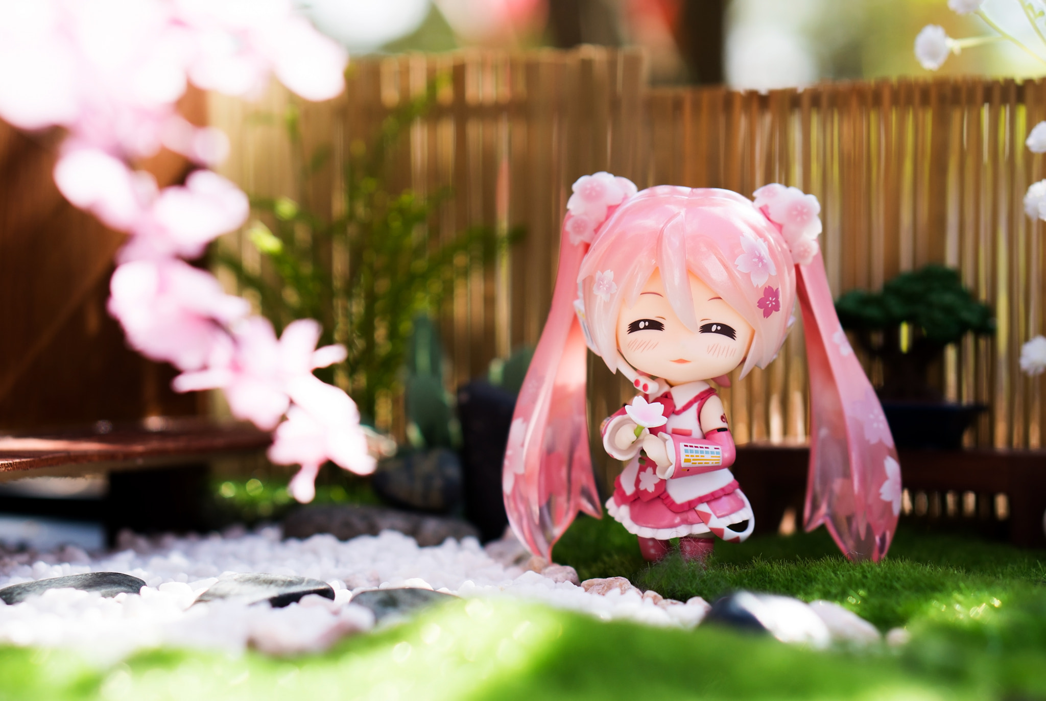 Sony a6300 + E 50mm F1.8 OSS sample photo. Dsc photography