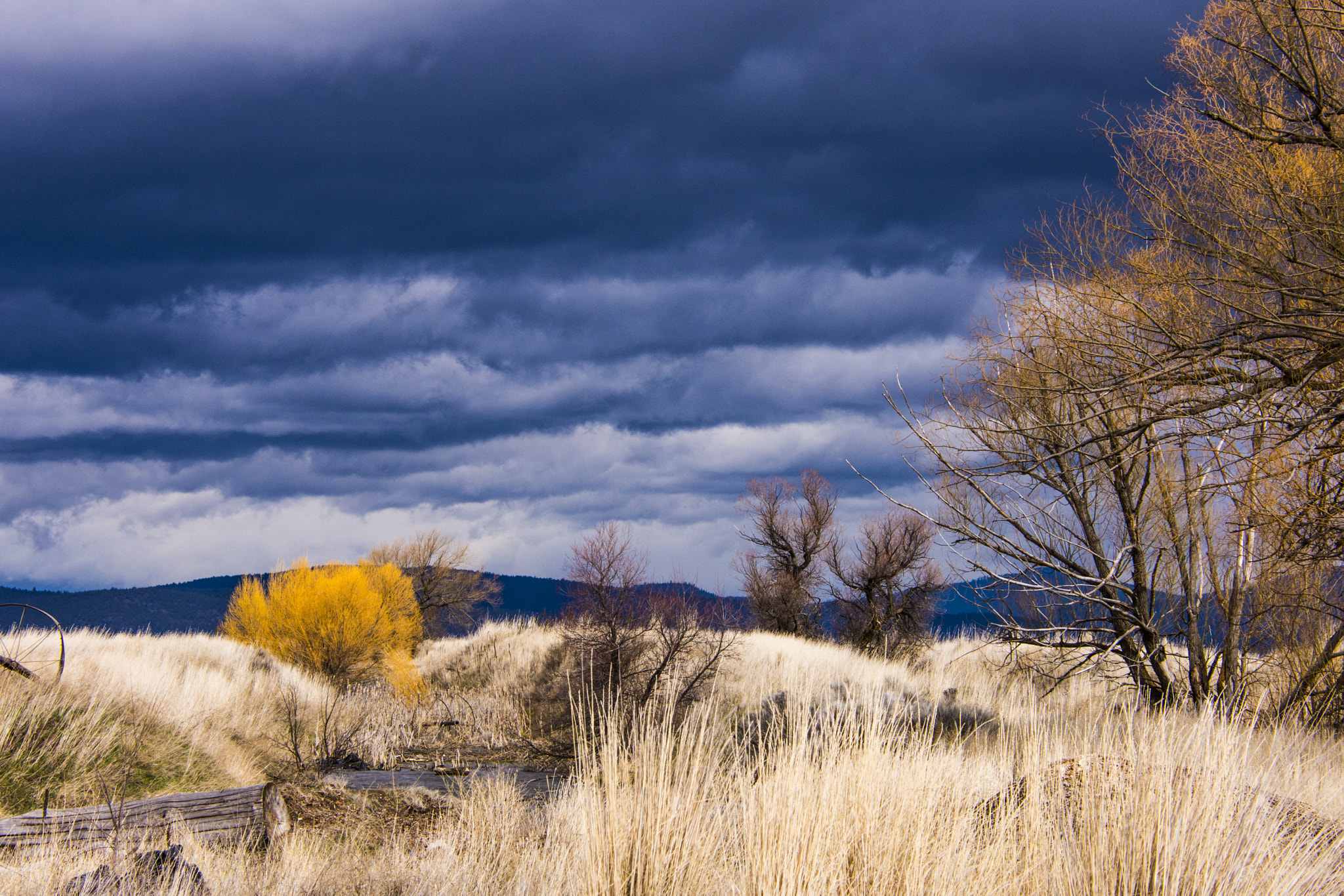 Nikon D7200 sample photo. When the sky changes photography