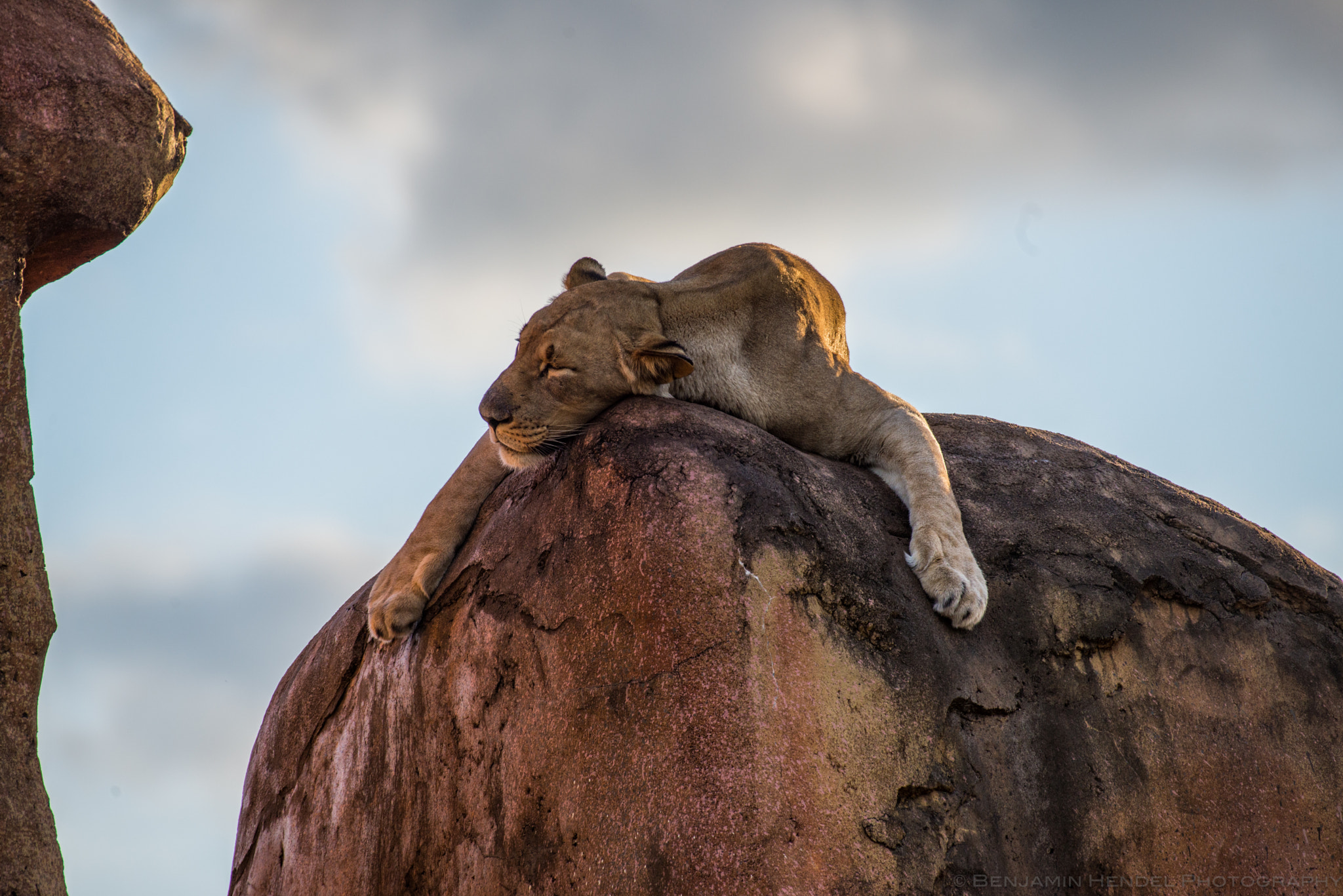 Nikon AF-S Nikkor 200-500mm F5.6E ED VR sample photo. Friday feeling photography