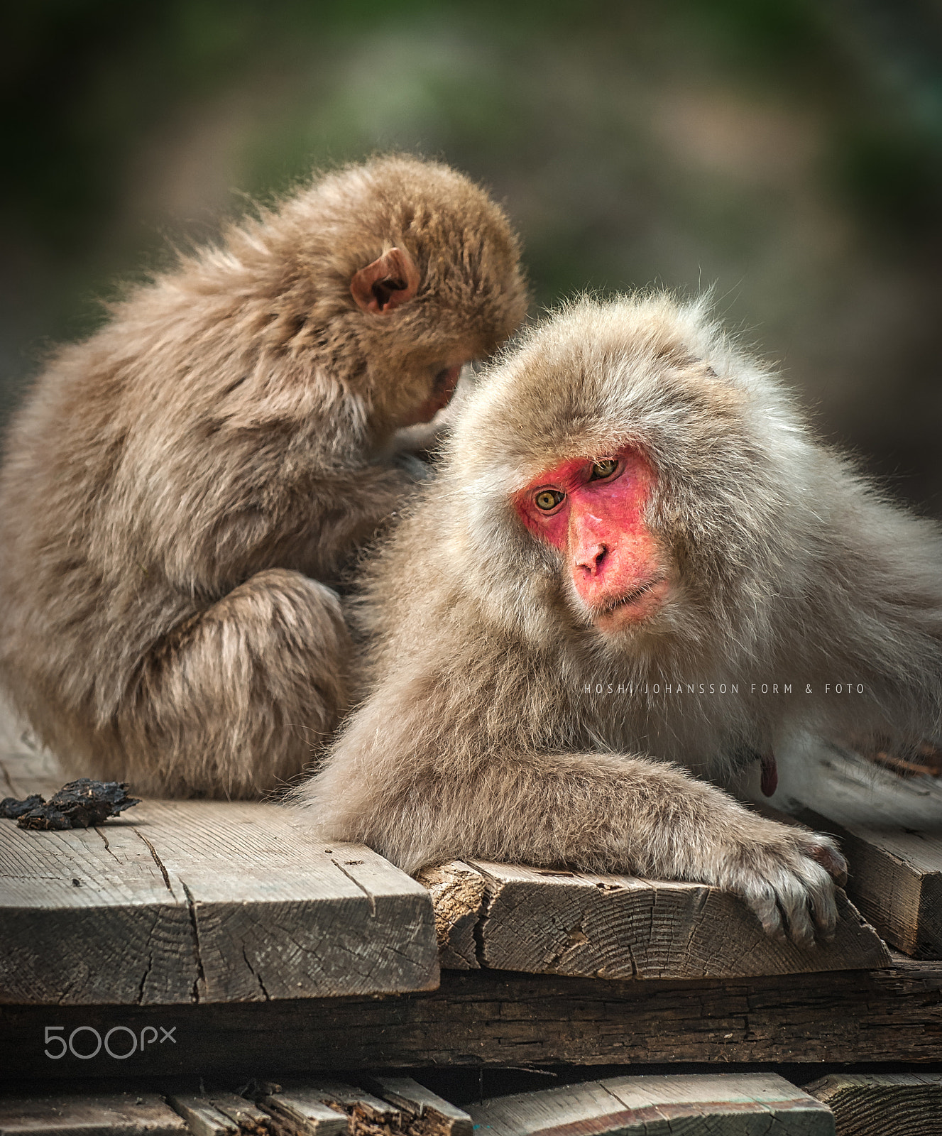 Nikon D200 sample photo. Make me lovely photography