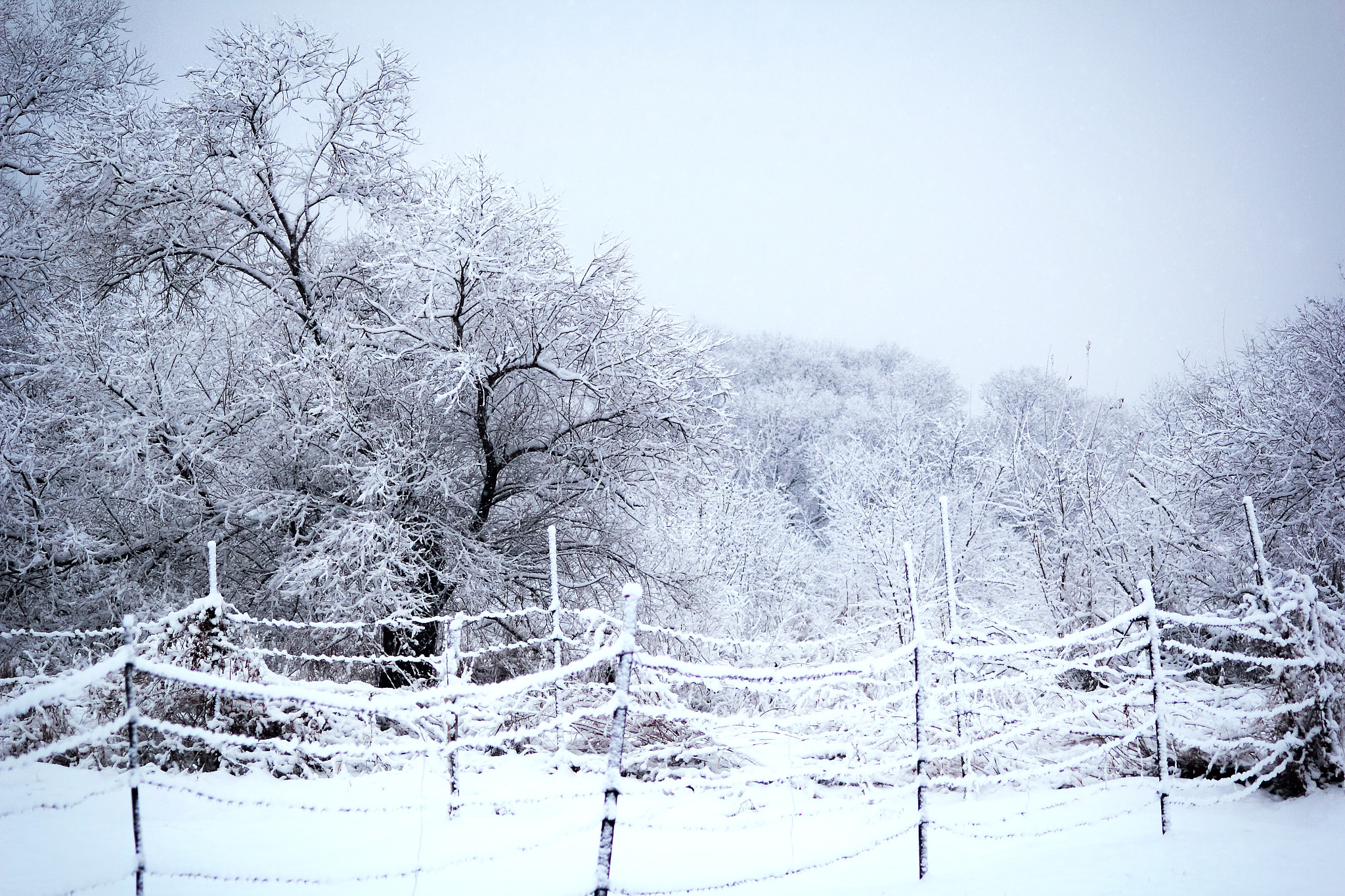 Canon EOS 60D sample photo. Spring snow photography