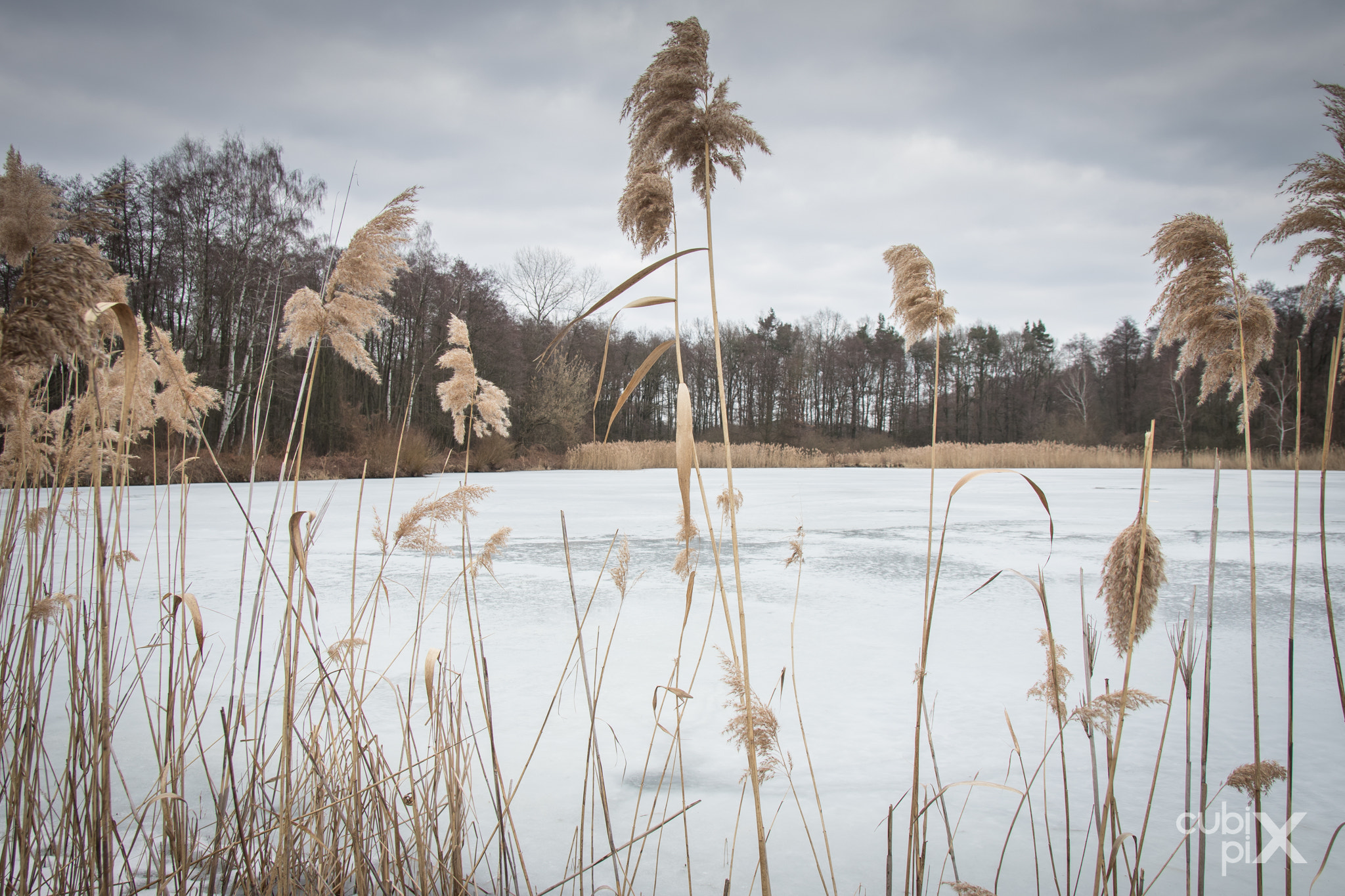 Canon EF-S 17-55mm F2.8 IS USM sample photo. Frozen lake photography