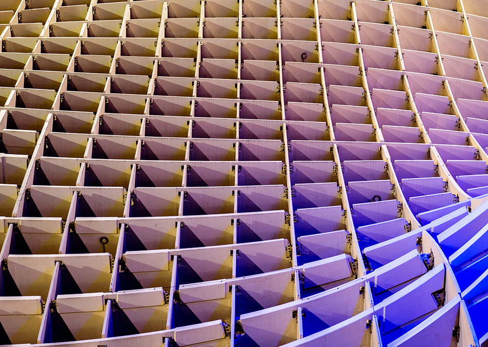 Nikon D610 + Nikon AF Nikkor 50mm F1.8D sample photo. Dsc photography