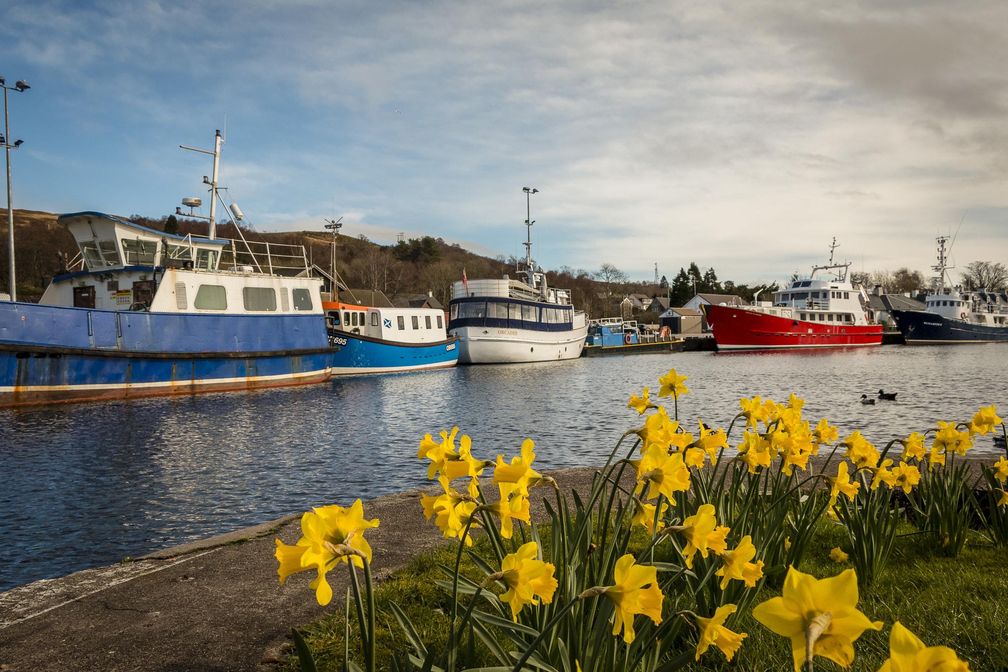 Canon EOS 70D + Canon EF-S 18-135mm F3.5-5.6 IS USM sample photo. Flowers and boats photography