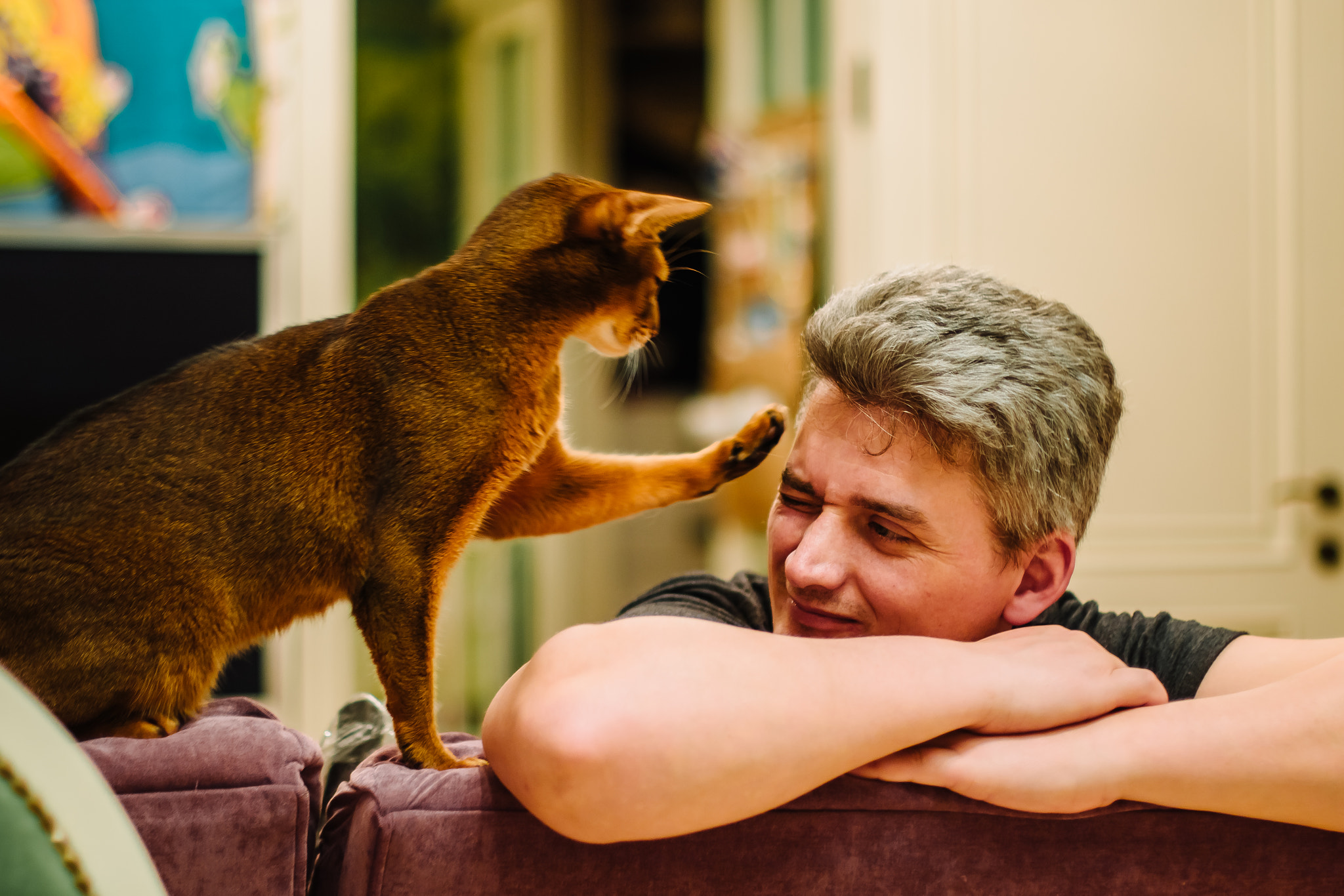 Canon EF 50mm F1.4 USM sample photo. Cat's territory photography