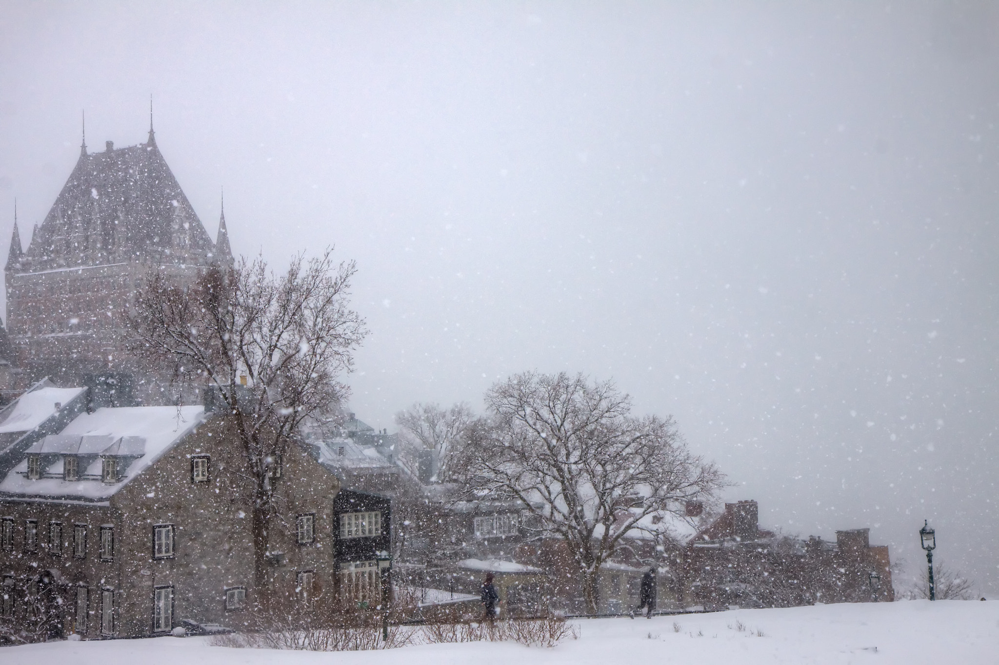Canon EOS 50D sample photo. Frontenac photography