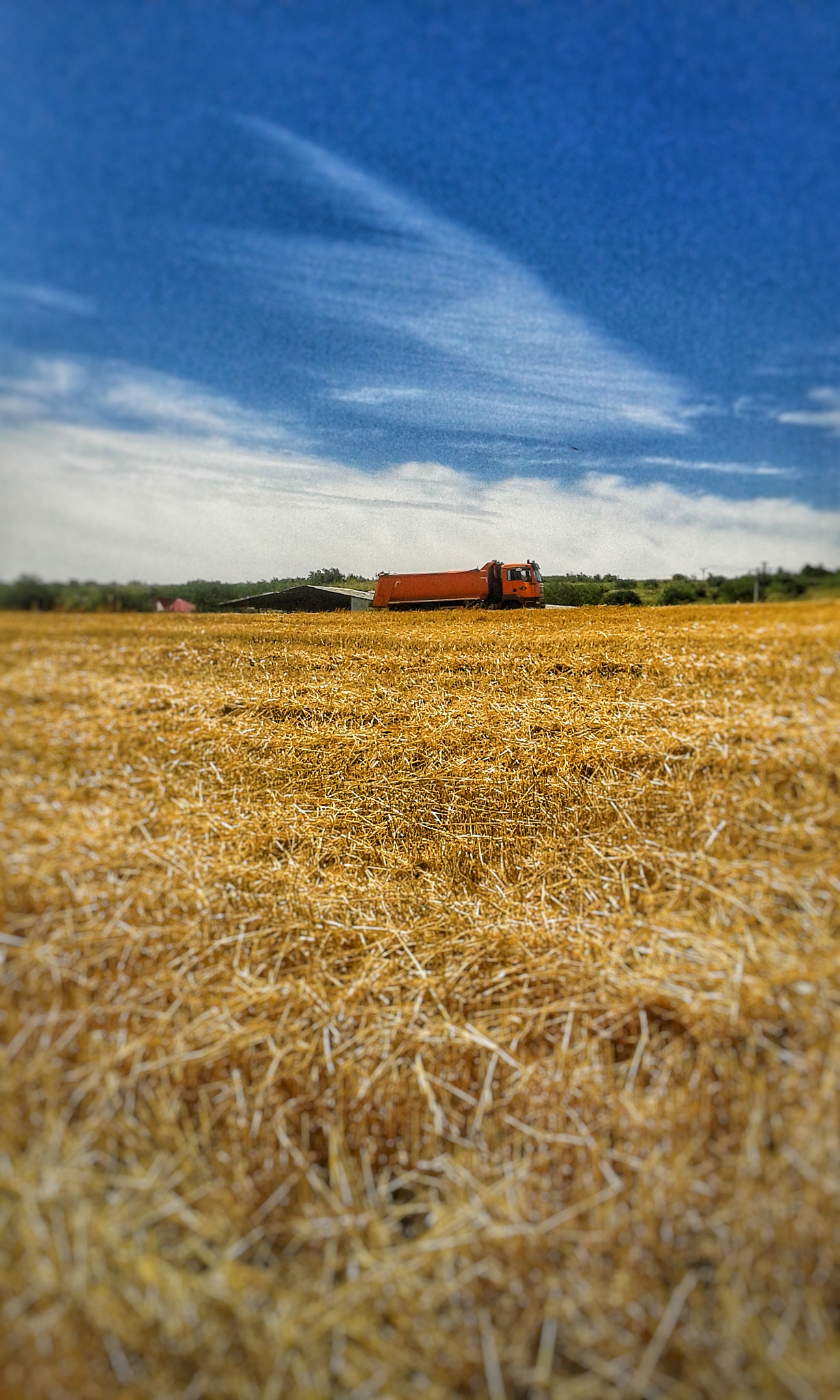 Samsung Galaxy Trend Plus sample photo. Farm photography