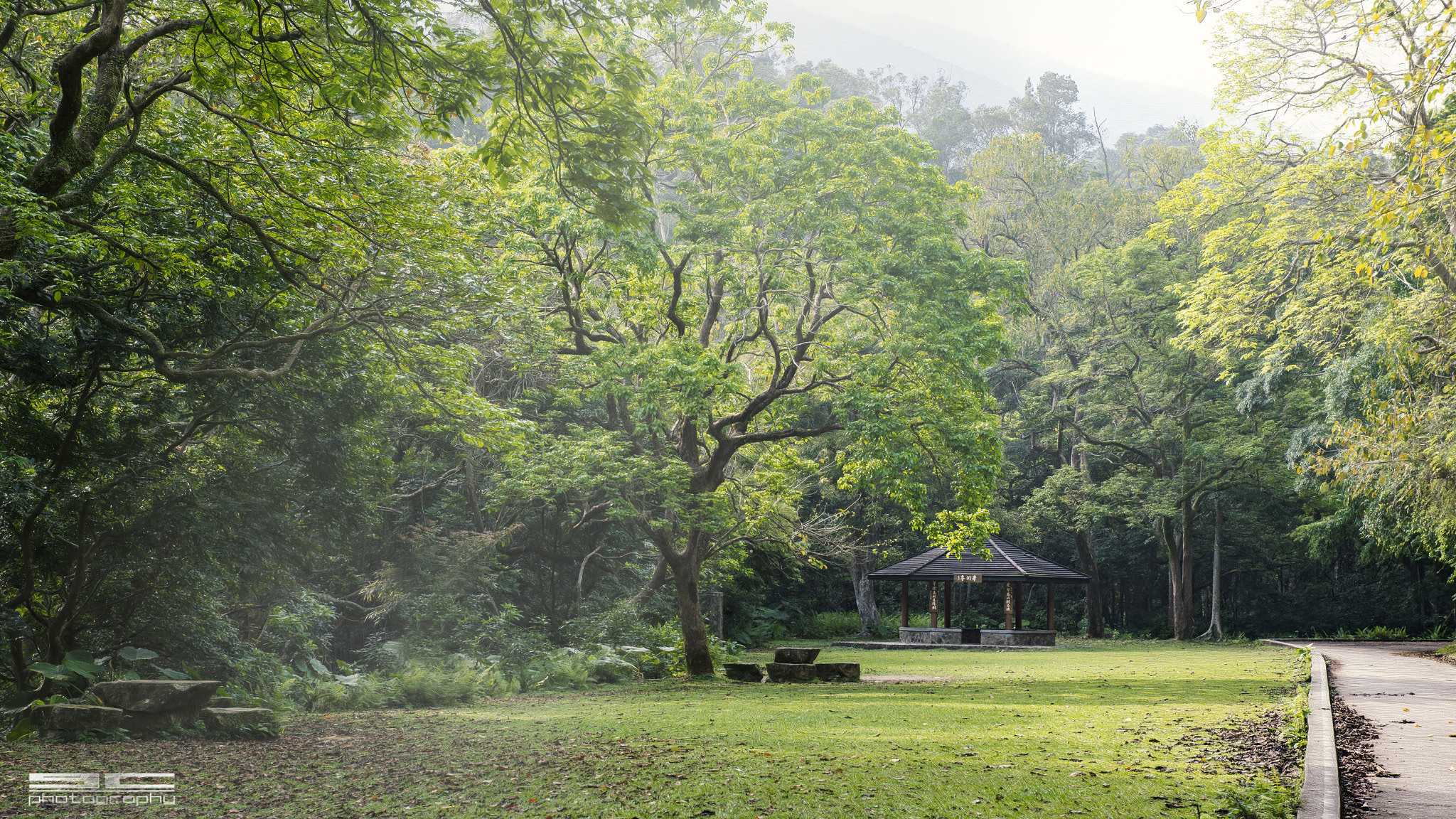 Nikon AF-S Nikkor 24-70mm F2.8G ED sample photo. Skt photography