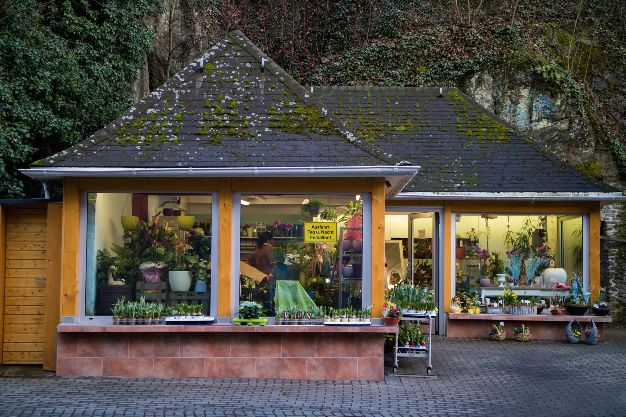 Canon EOS M3 sample photo. Flowershop photography