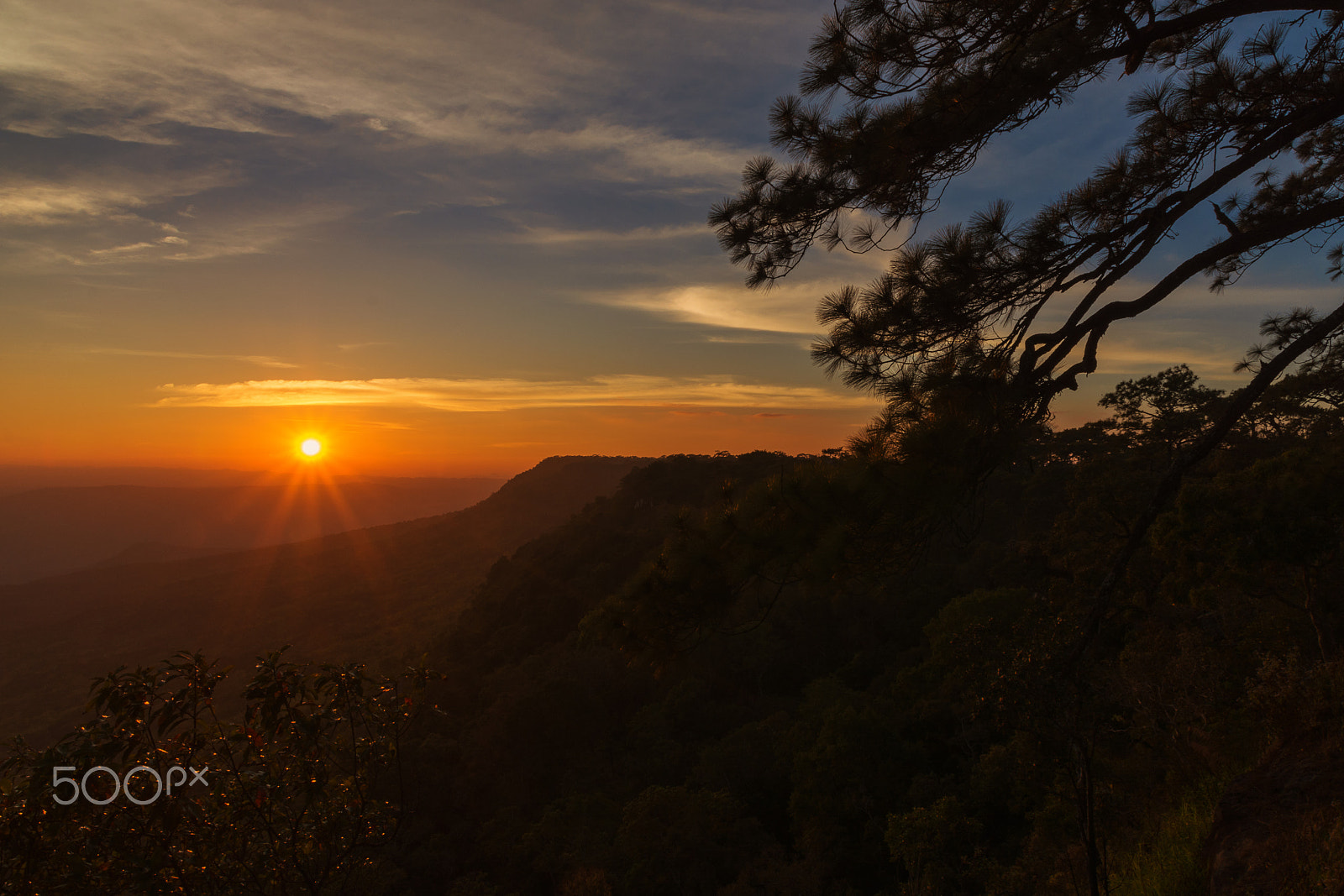 Nikon D5200 sample photo. Sunset cliff and pine branches. photography
