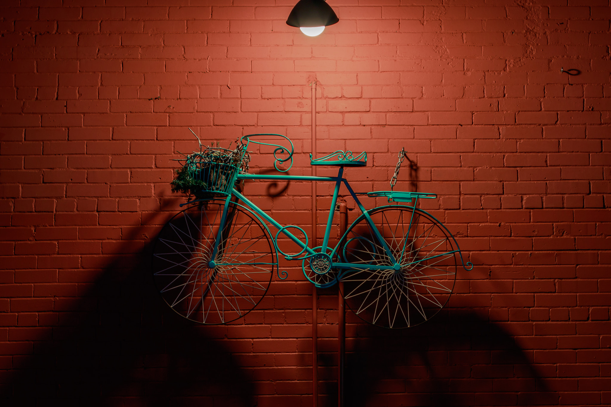 Canon EF 50mm F1.4 USM sample photo. Bicycle photography