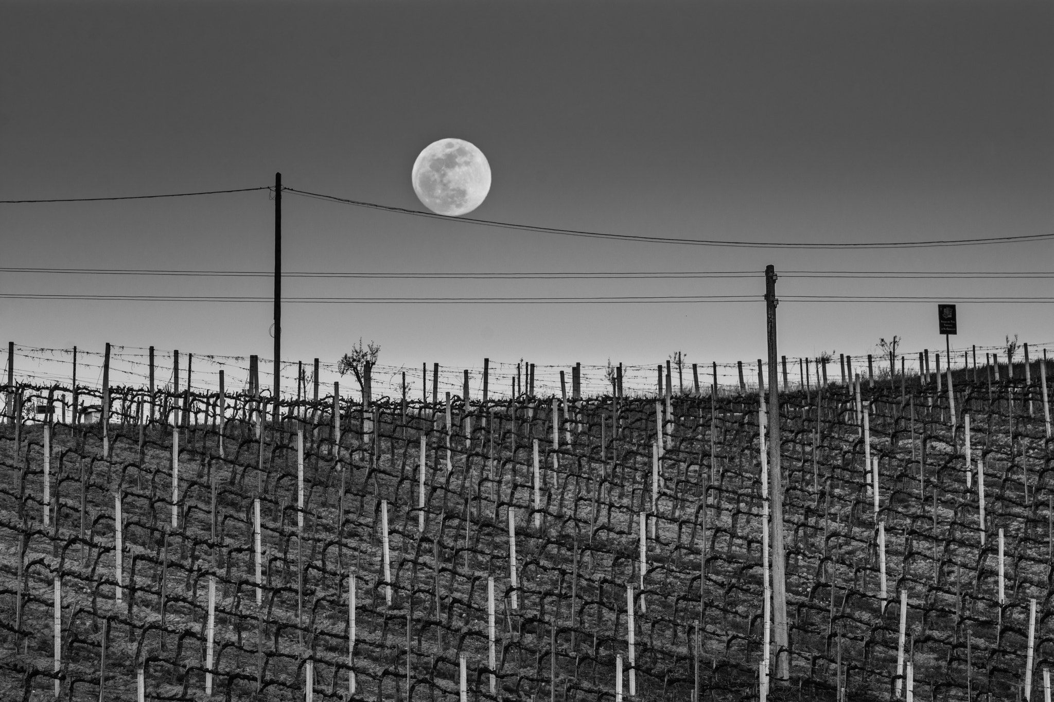 Tamron SP 70-200mm F2.8 Di VC USD sample photo. The moon on the wire photography