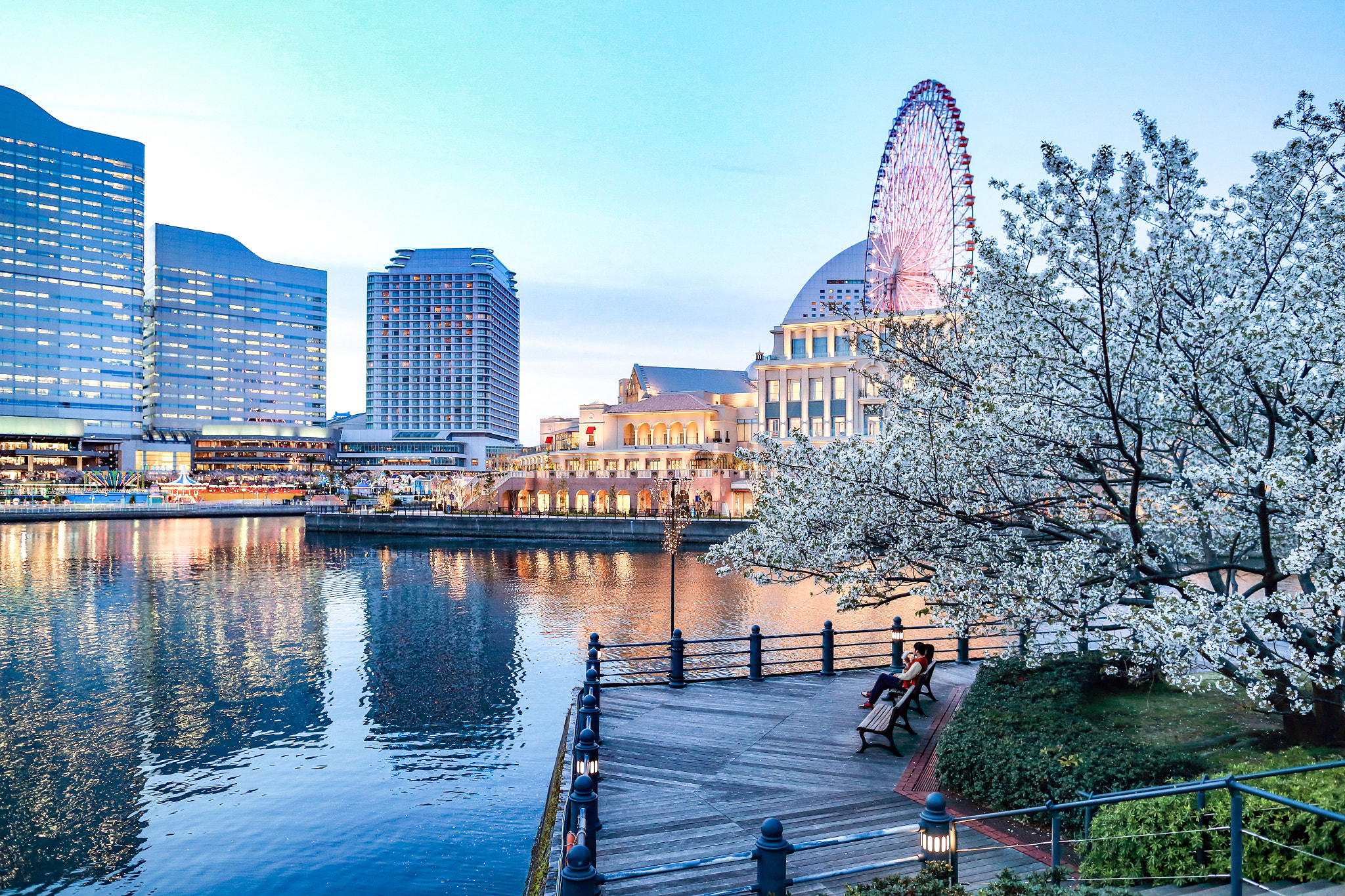 Canon EOS 6D + Canon EF 24mm F1.4L II USM sample photo. Beautiful sakura season photography