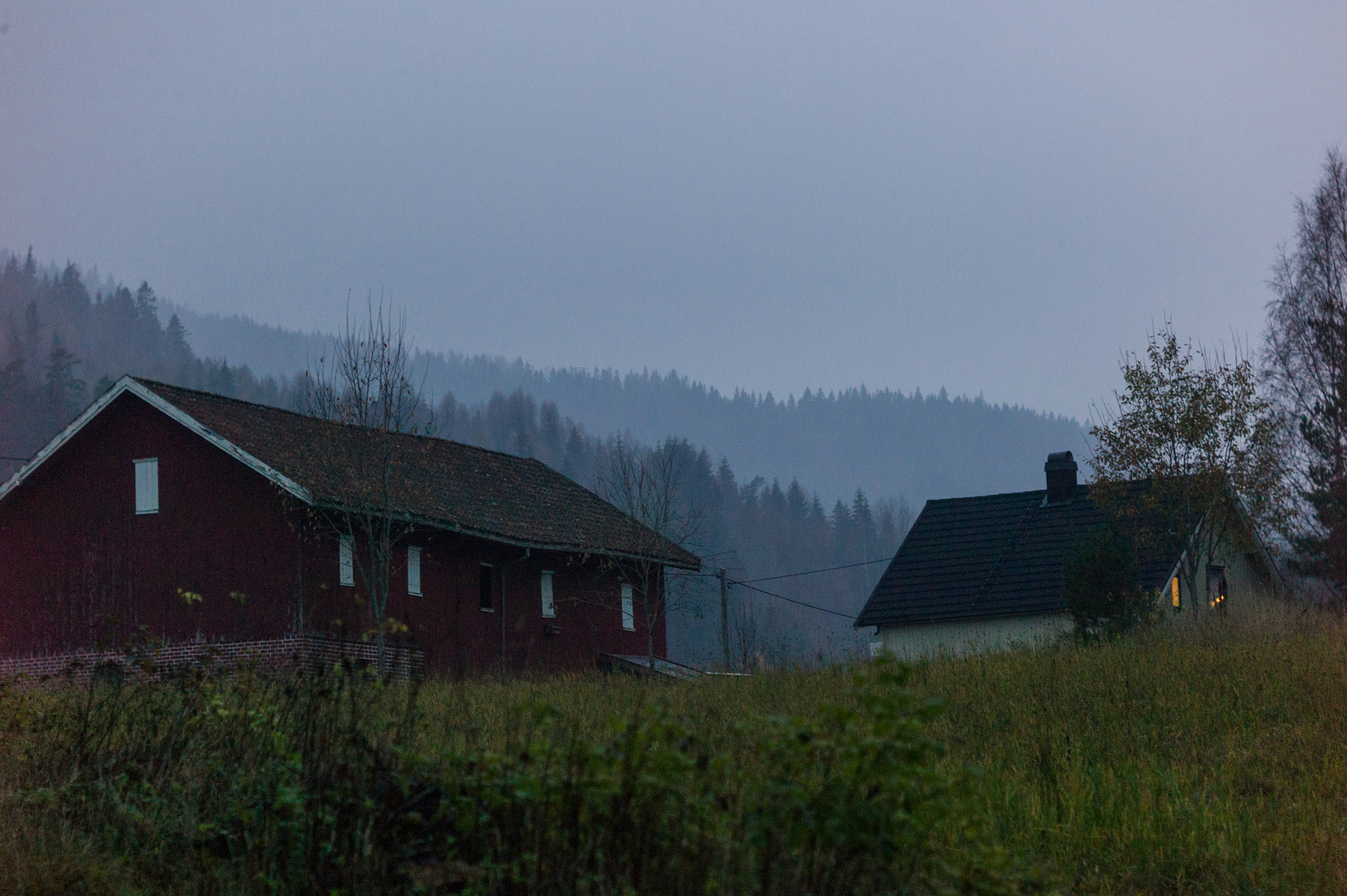 Summicron-M 50mm f/2 (III) sample photo. Farm photography