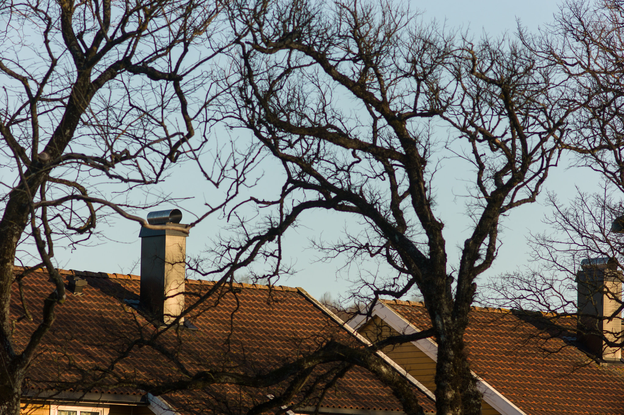 Leica M9 + Tele-Elmar-M 135mm f/4 (II) sample photo. Roofs at moss photography
