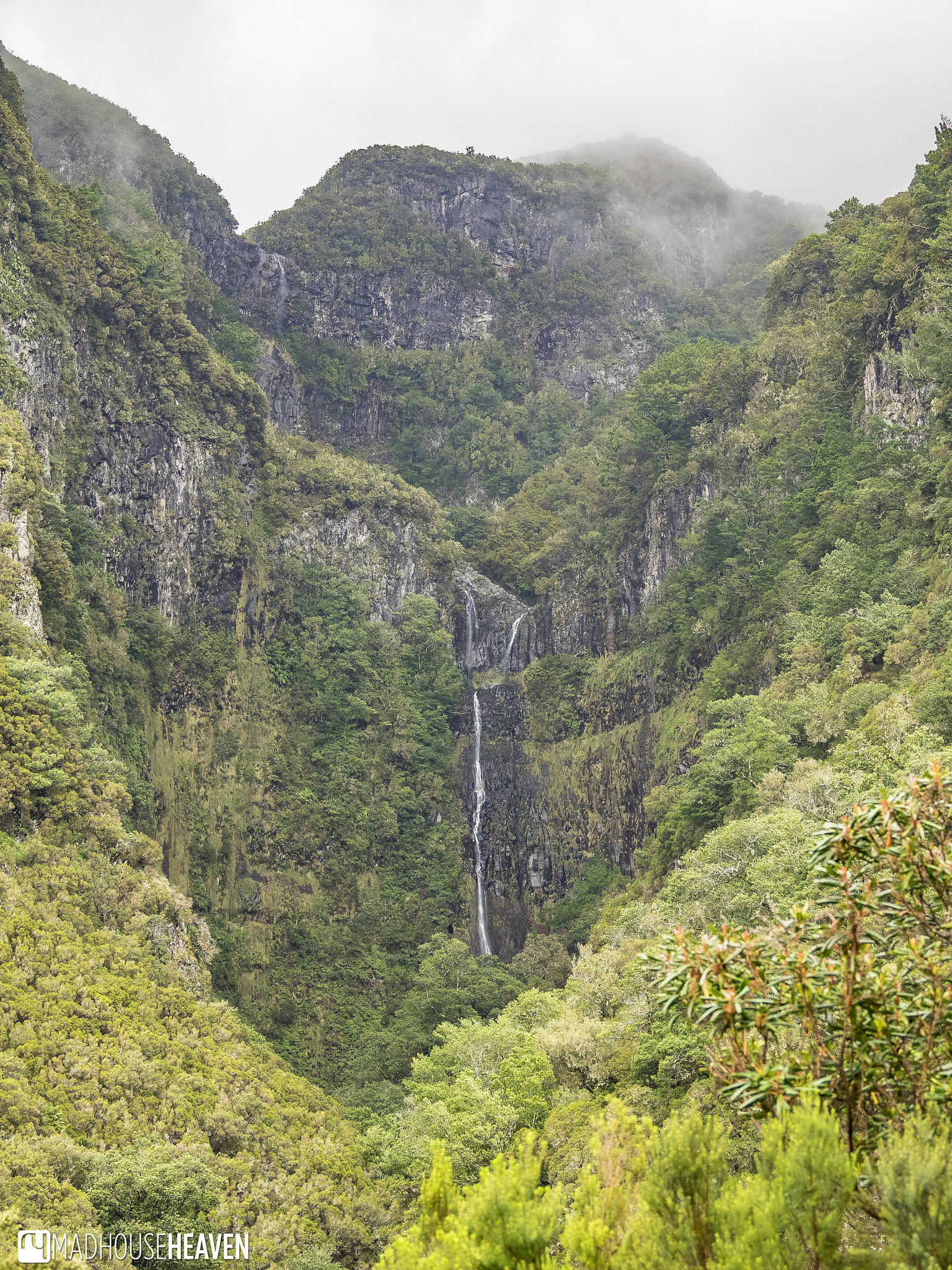 Olympus OM-D E-M1 sample photo. Mystical waterfall in a laurisilva forest photography