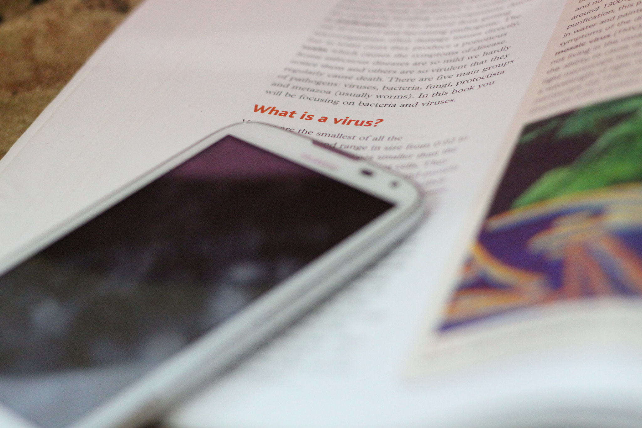 Canon EOS 500D (EOS Rebel T1i / EOS Kiss X3) sample photo. Modern illustration photography