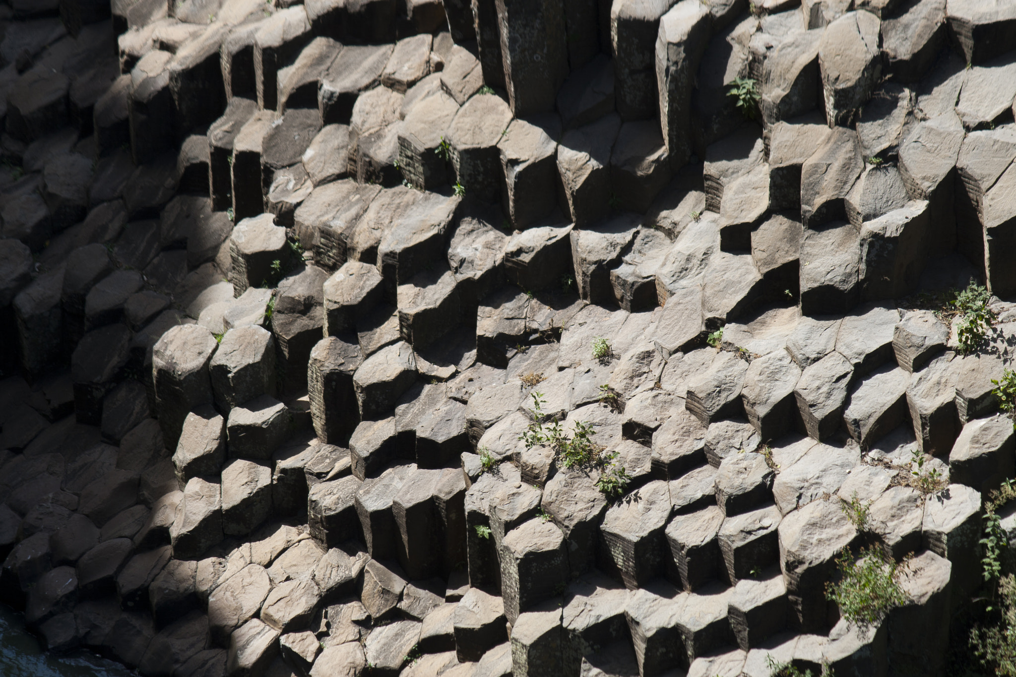 Canon EF-S 55-250mm F4-5.6 IS sample photo. Geometría al natural photography