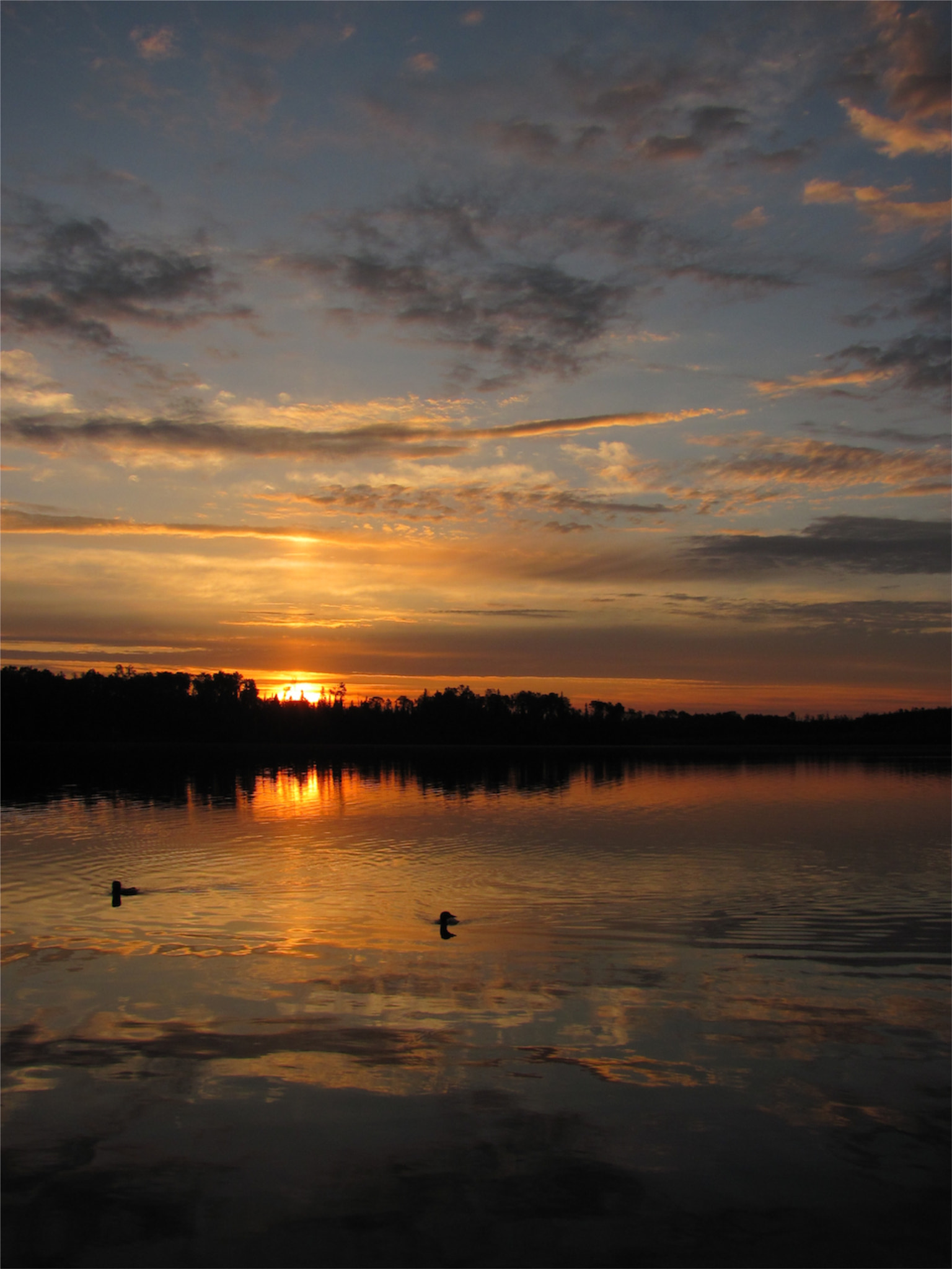 Canon PowerShot SX120 IS sample photo. Loons at sunrise photography