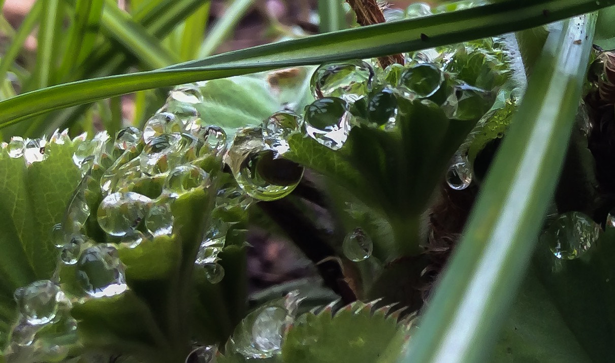 Apple iPad mini 3 sample photo. Manchmal bin ich auch faul photography