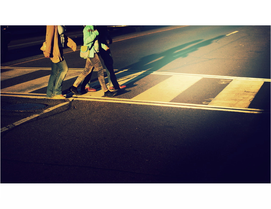 Sony Alpha DSLR-A100 + Minolta AF 50mm F1.7 sample photo. Steps and shadows photography