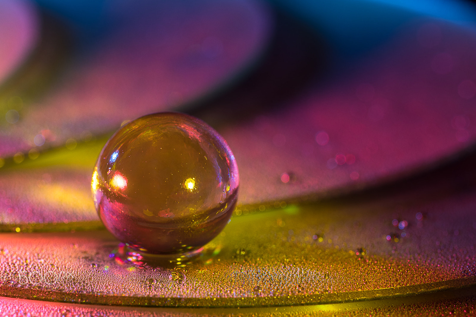 Sigma 105mm F2.8 EX DG OS HSM sample photo. Just landed photography