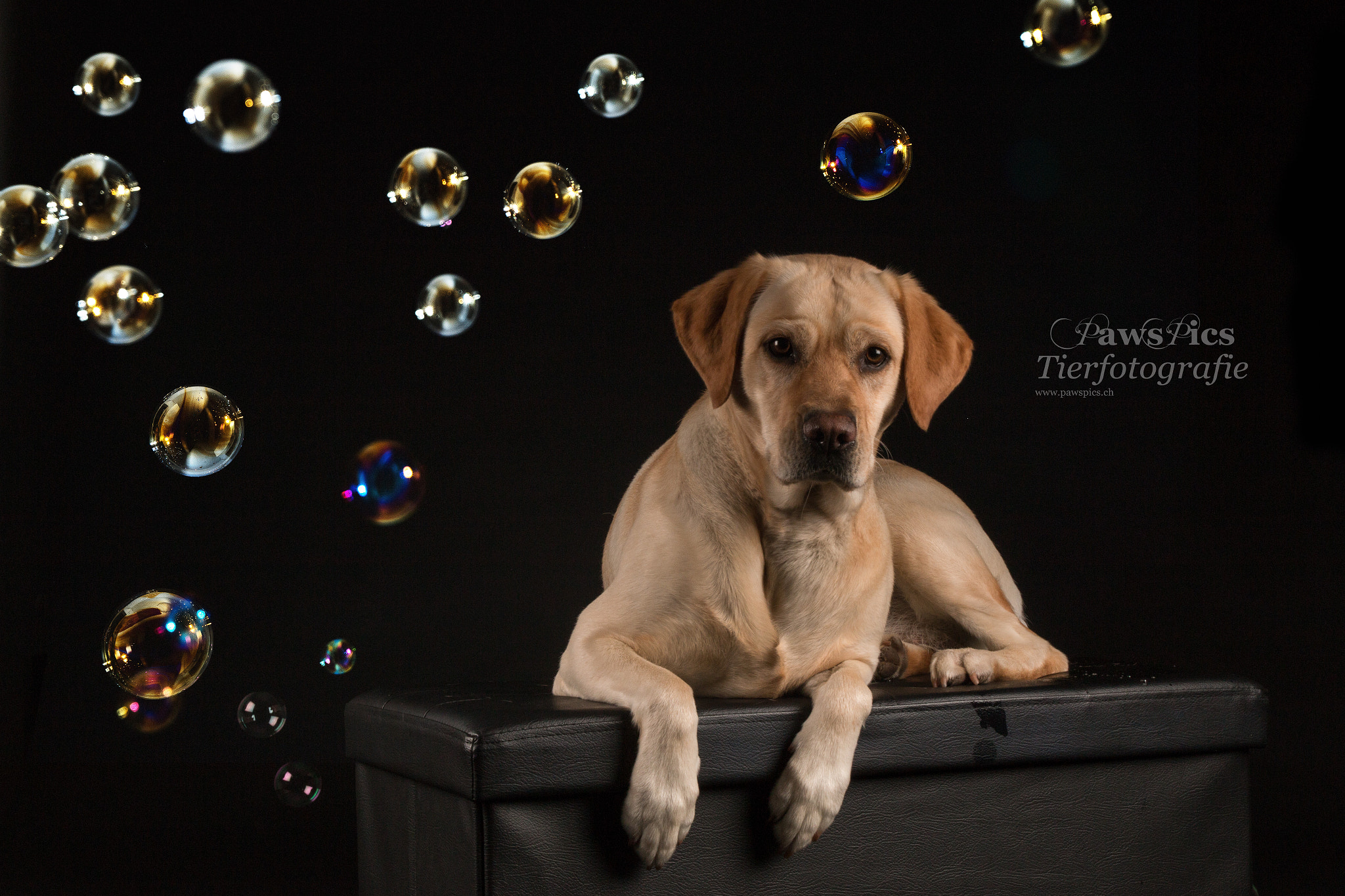 Canon EOS 70D + Canon EF 17-40mm F4L USM sample photo. Tessa photography
