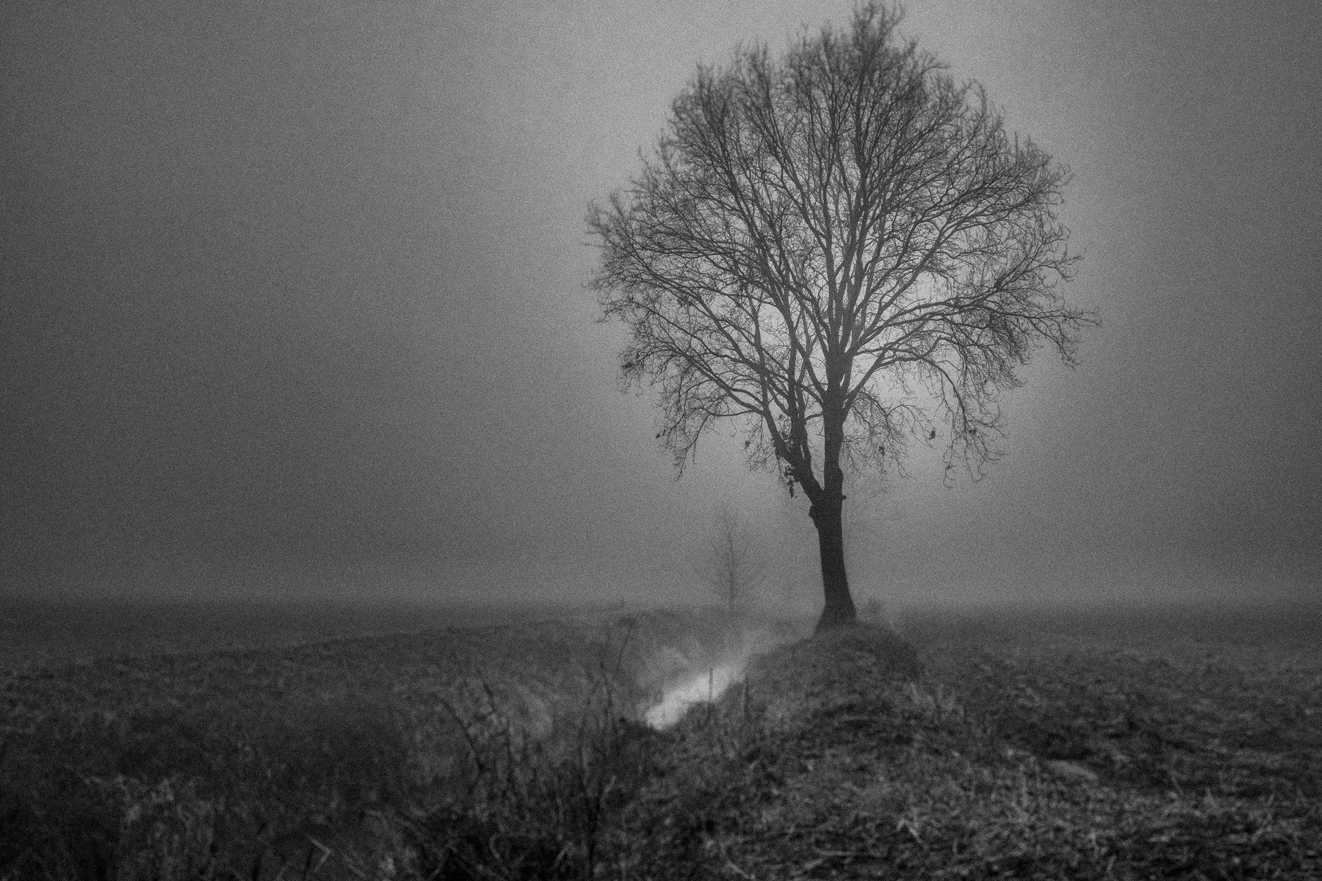 Olympus OM-D E-M5 sample photo. The secret world (2) ... photography
