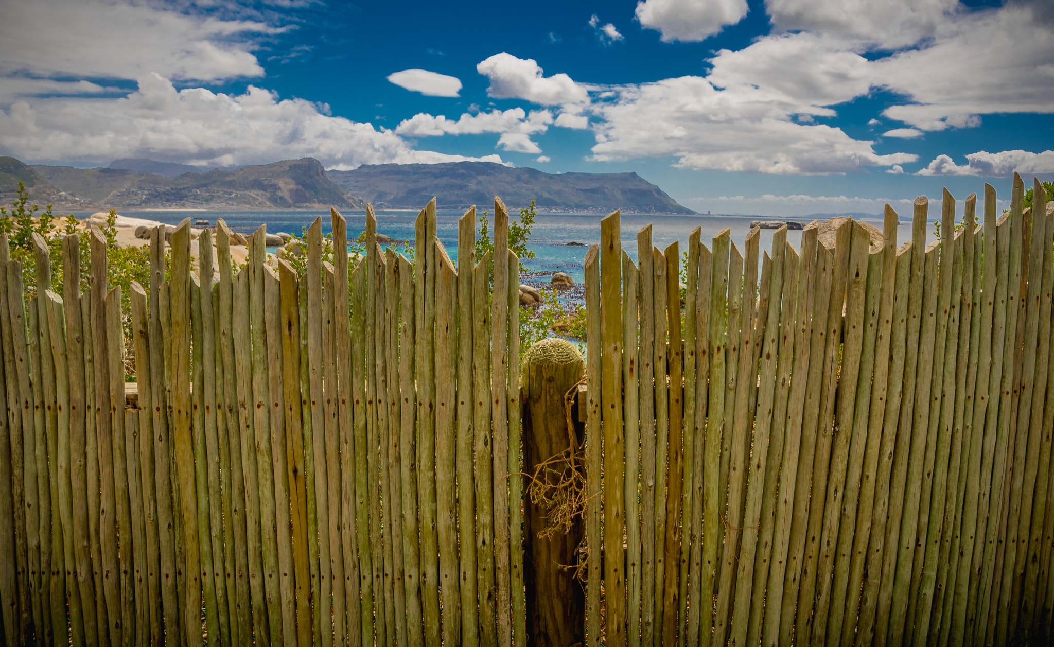 Nikon D7100 + Tamron 18-270mm F3.5-6.3 Di II VC PZD sample photo. Simon's town and ... fence photography