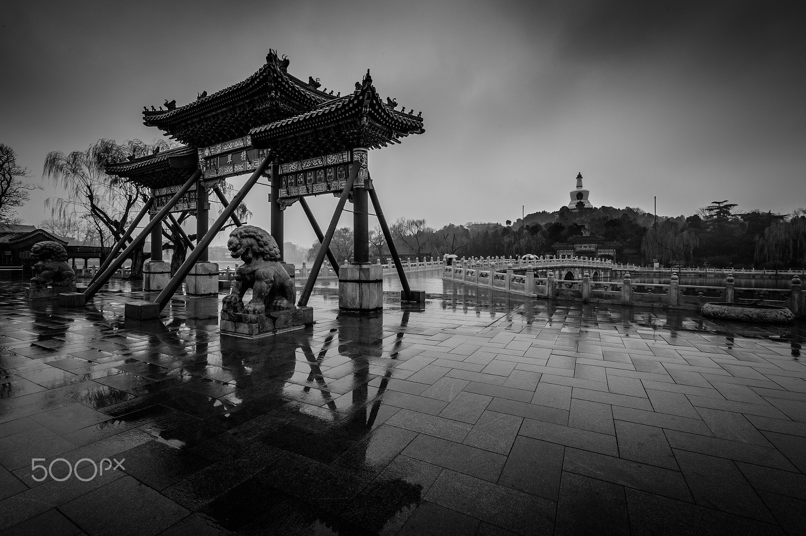 Nikon Df sample photo. Rainy days of beihai park. photography