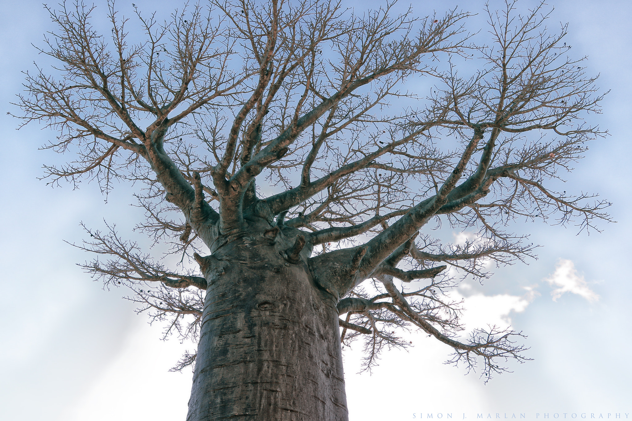 Canon EF 24-105mm F4L IS USM sample photo. Reaching for the sky photography