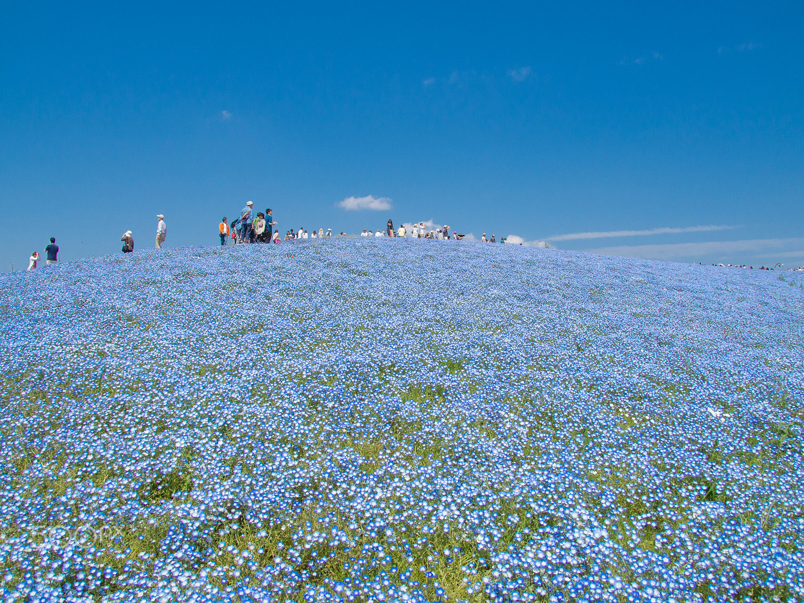 Tamron 14-150mm F3.5-5.8 Di III sample photo. Blue hill photography