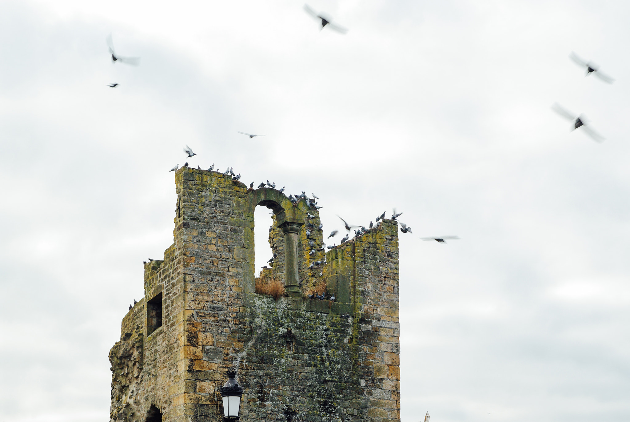Pentax K20D sample photo. Ruin as home photography