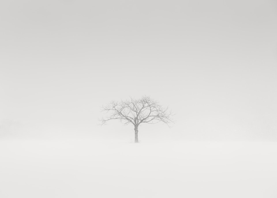 Canon EOS-1Ds Mark III sample photo. A dream within a dream photography