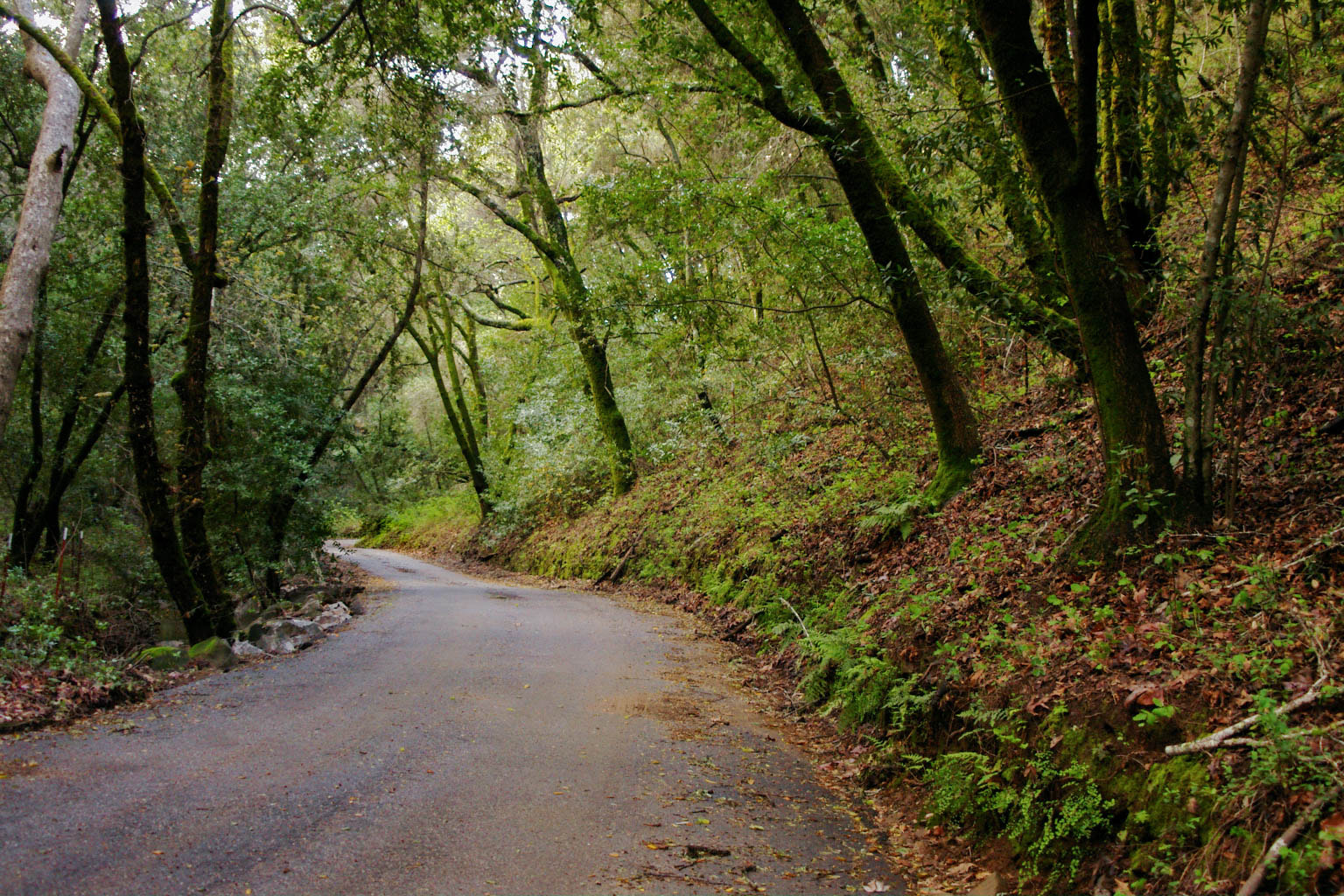 smc PENTAX-FA 28-80mm F3.5-5.6 sample photo. The lonely road photography