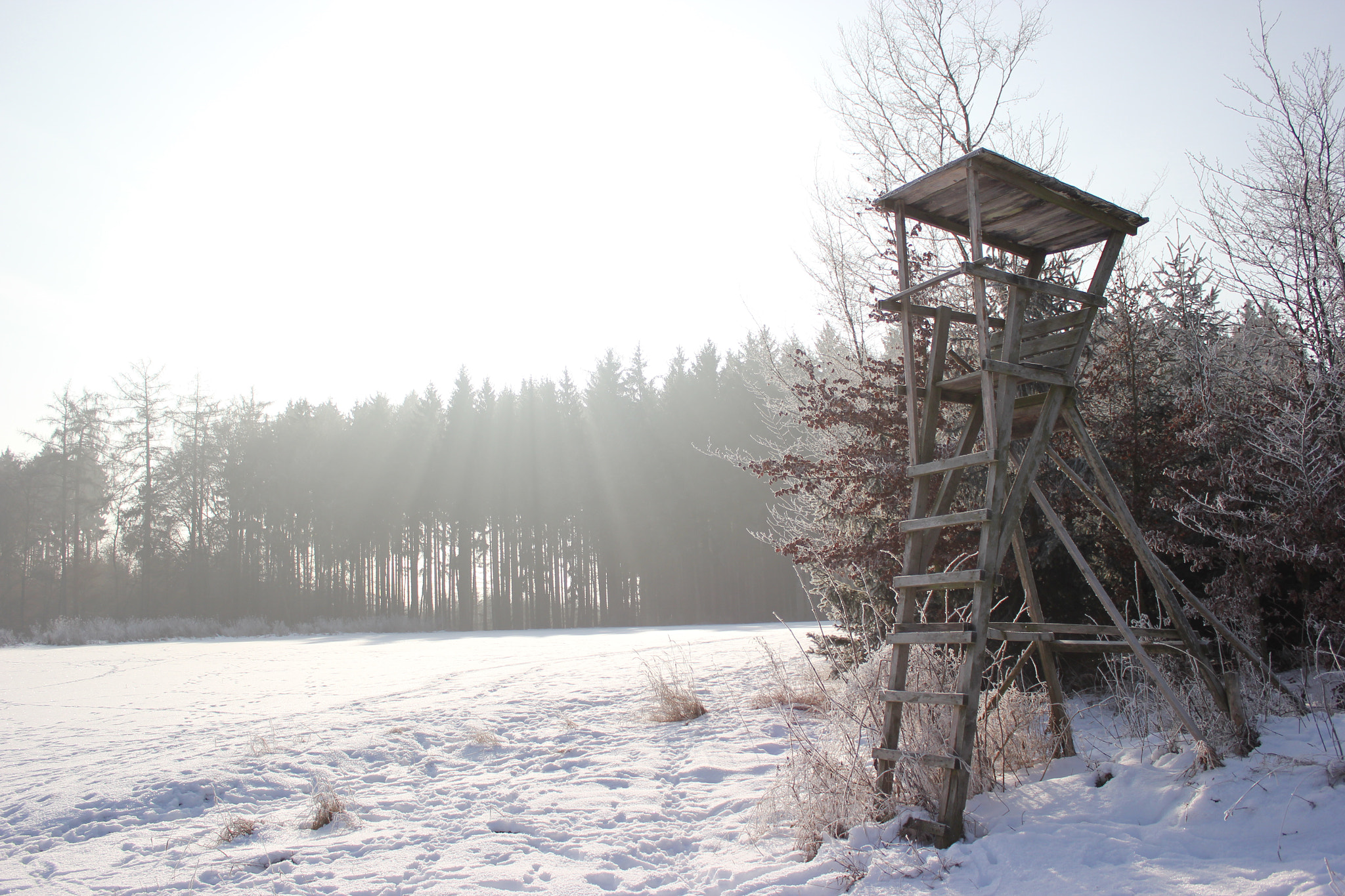 Canon EF-S 18-55mm F3.5-5.6 III sample photo. Like in a fairytale in the german coutryside photography