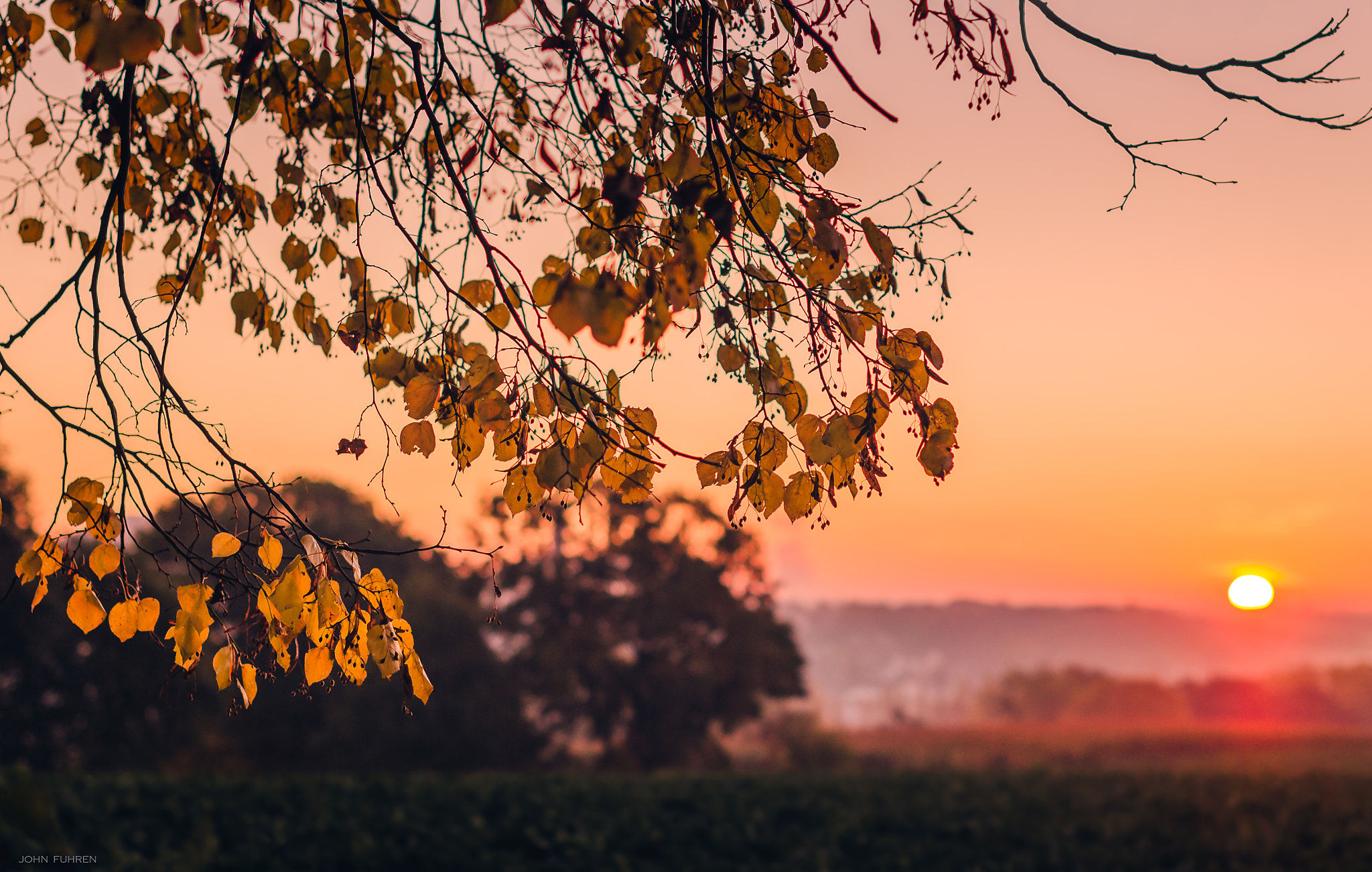 Nikon D5100 + Nikon AF-S Nikkor 50mm F1.4G sample photo. Sunrise photography