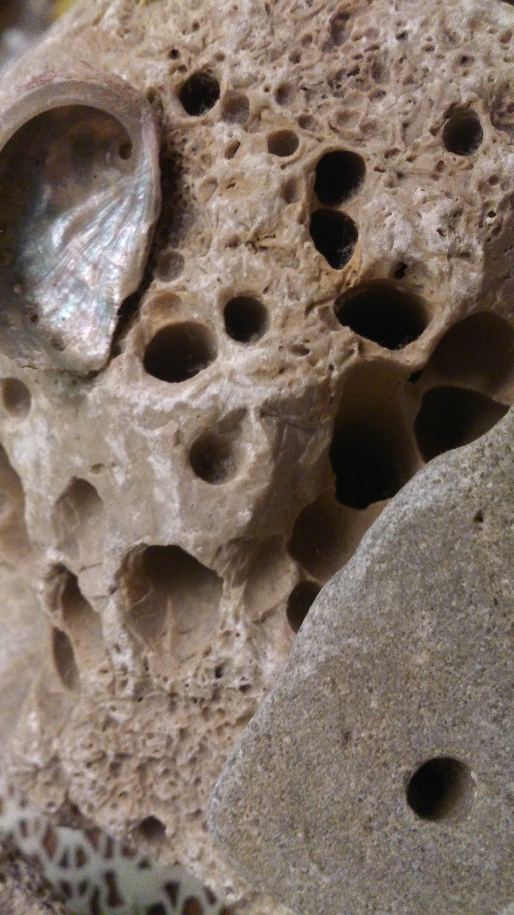 Sony Xperia T sample photo. Holes photography