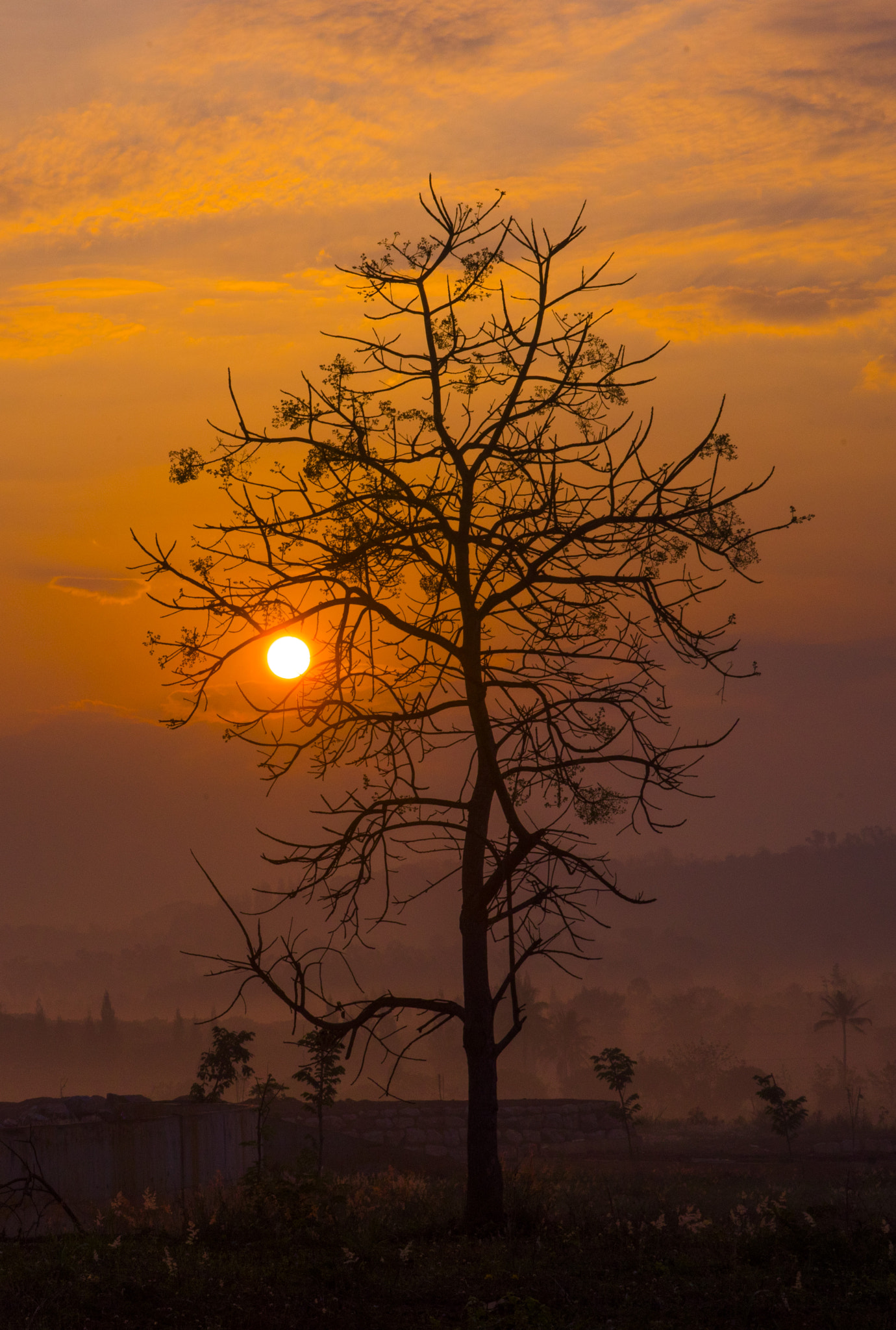 AF Zoom-Nikkor 28-105mm f/3.5-4.5D IF sample photo. Lonely under the sun photography