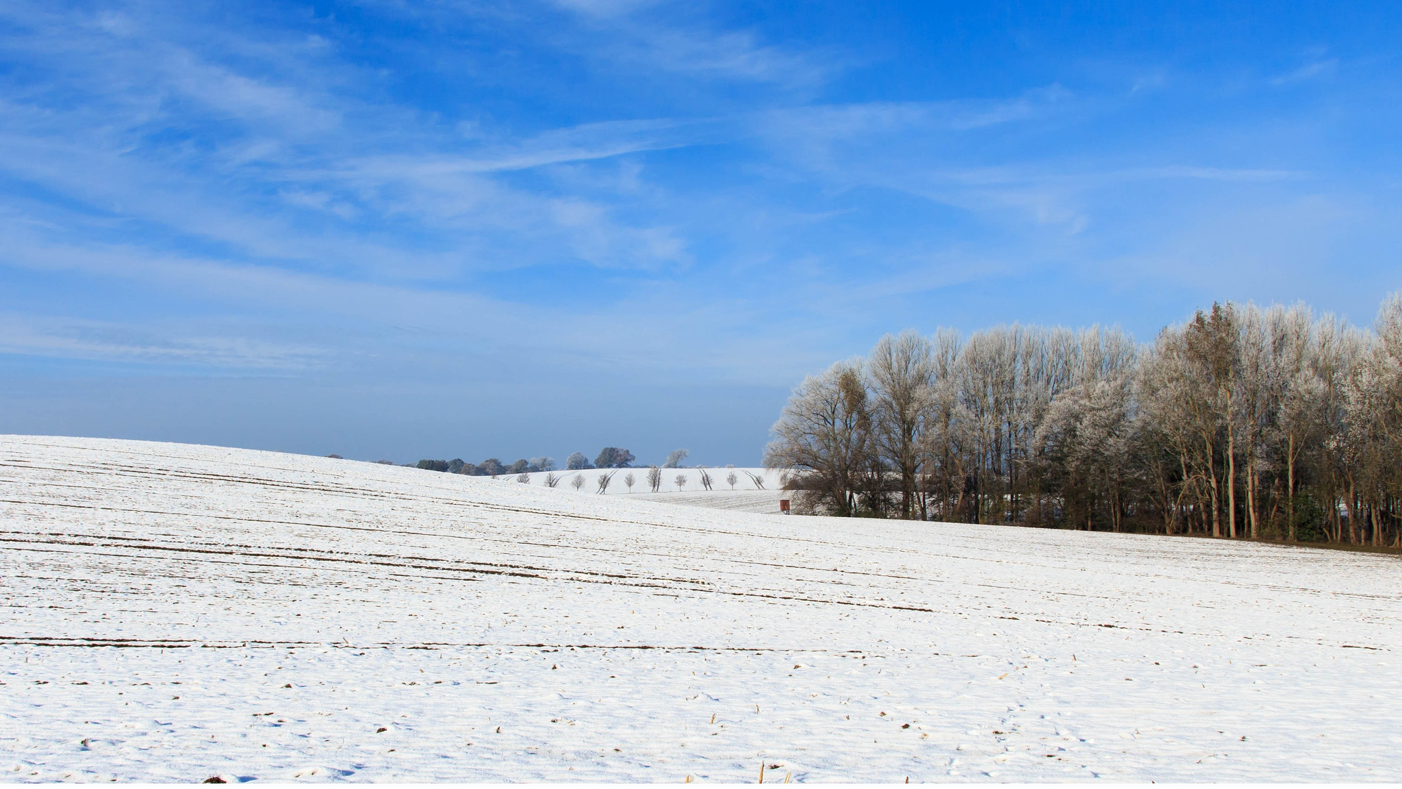 Canon EF-S 17-55mm F2.8 IS USM sample photo. Winterday photography