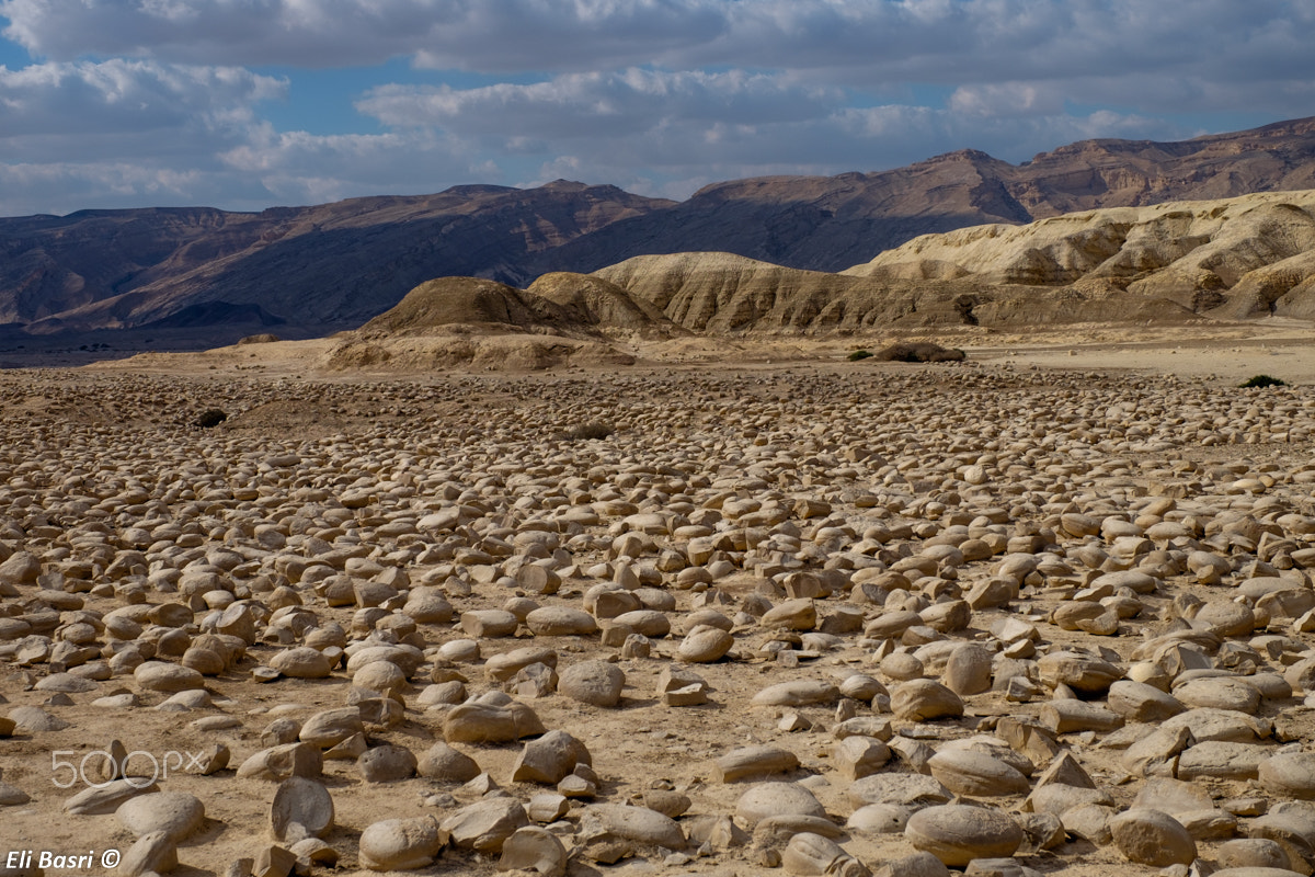 Fujifilm X-T1 + Fujifilm XF 16-55mm F2.8 R LM WR sample photo. Desert land photography