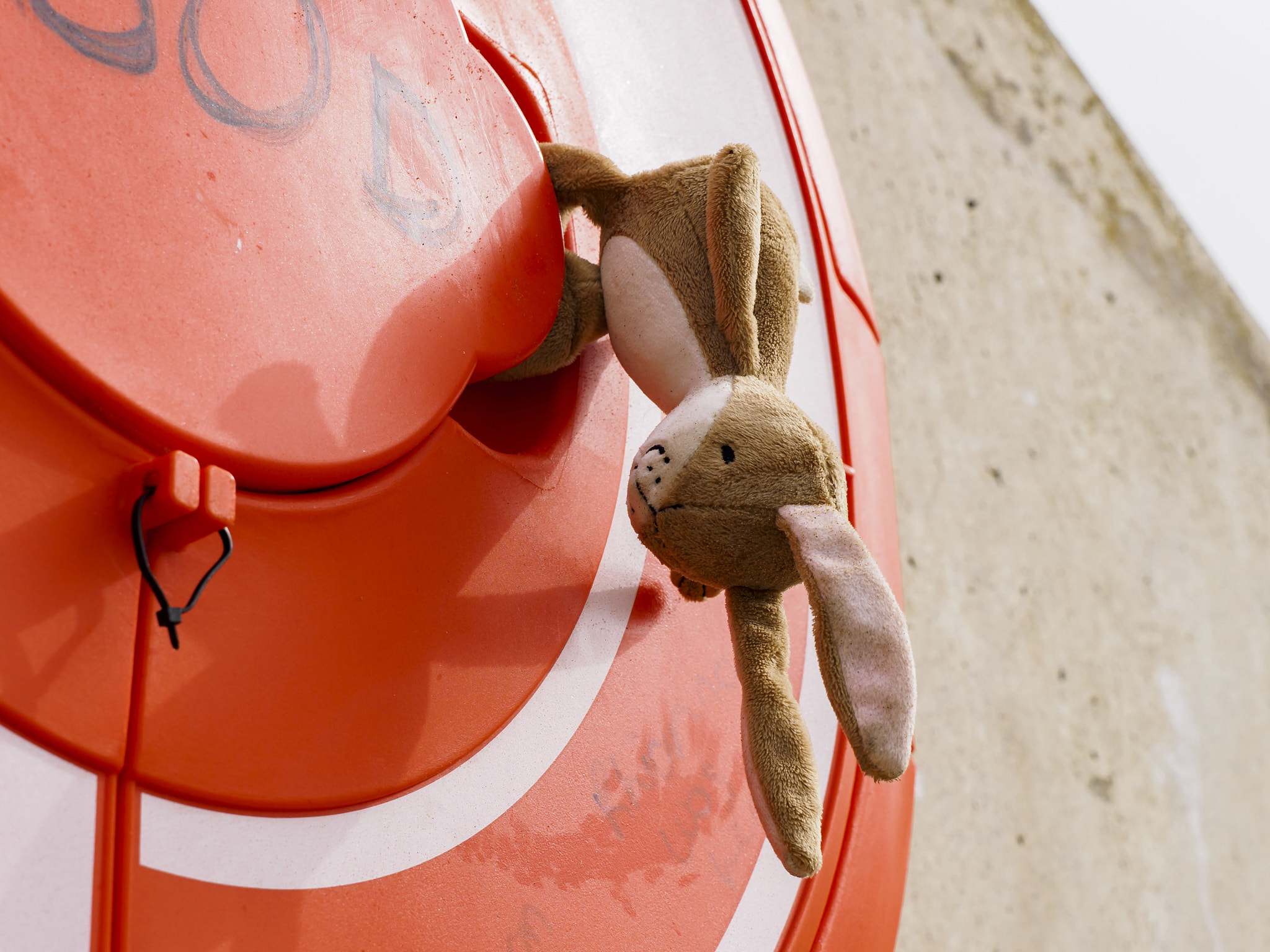 Olympus OM-D E-M1 + Olympus M.Zuiko Digital ED 40-150mm F2.8 Pro sample photo. Easter bunny caught in a coastal life saving ring cover photography