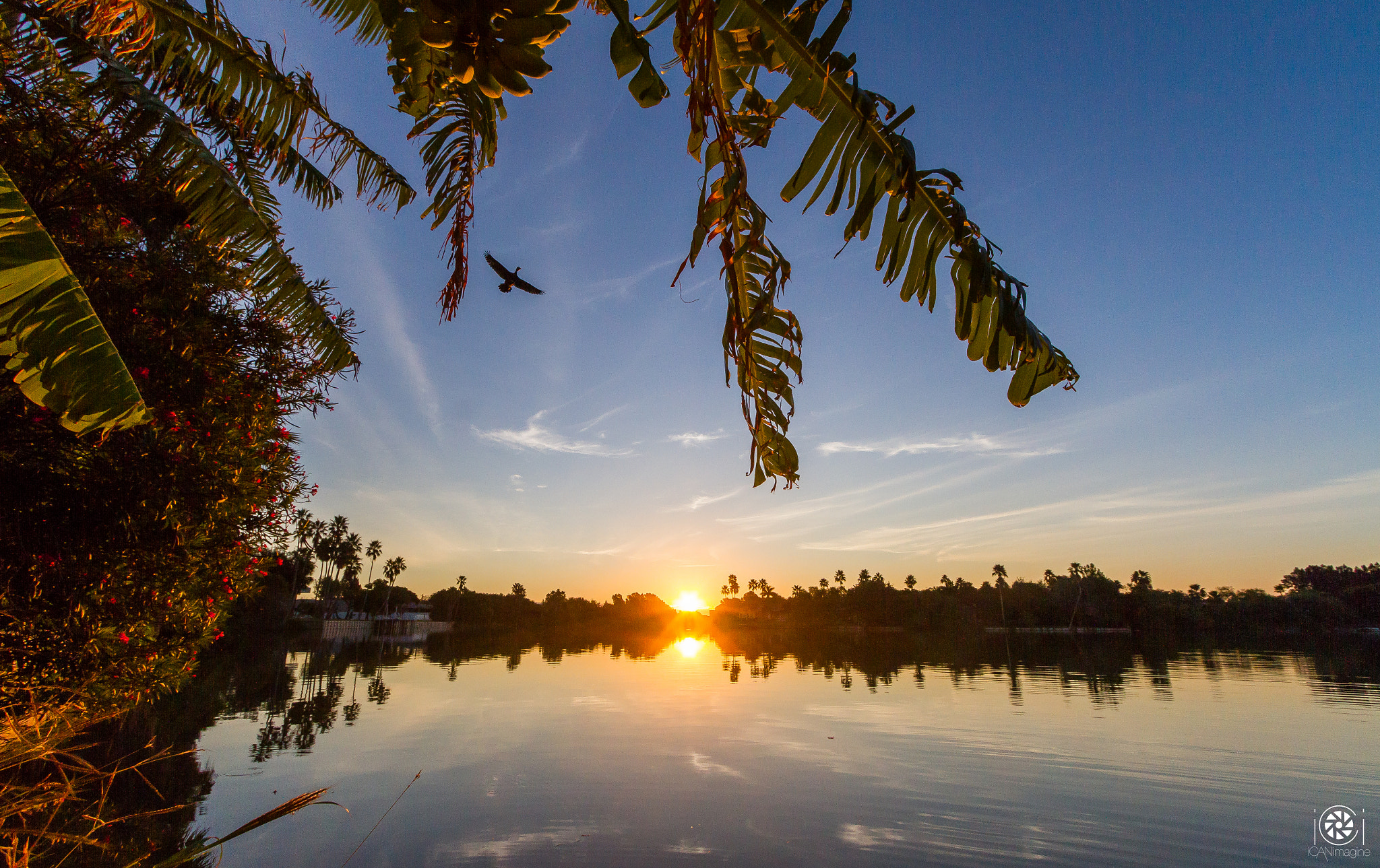 Canon EF-S 10-22mm F3.5-4.5 USM sample photo. Morning fly by photography