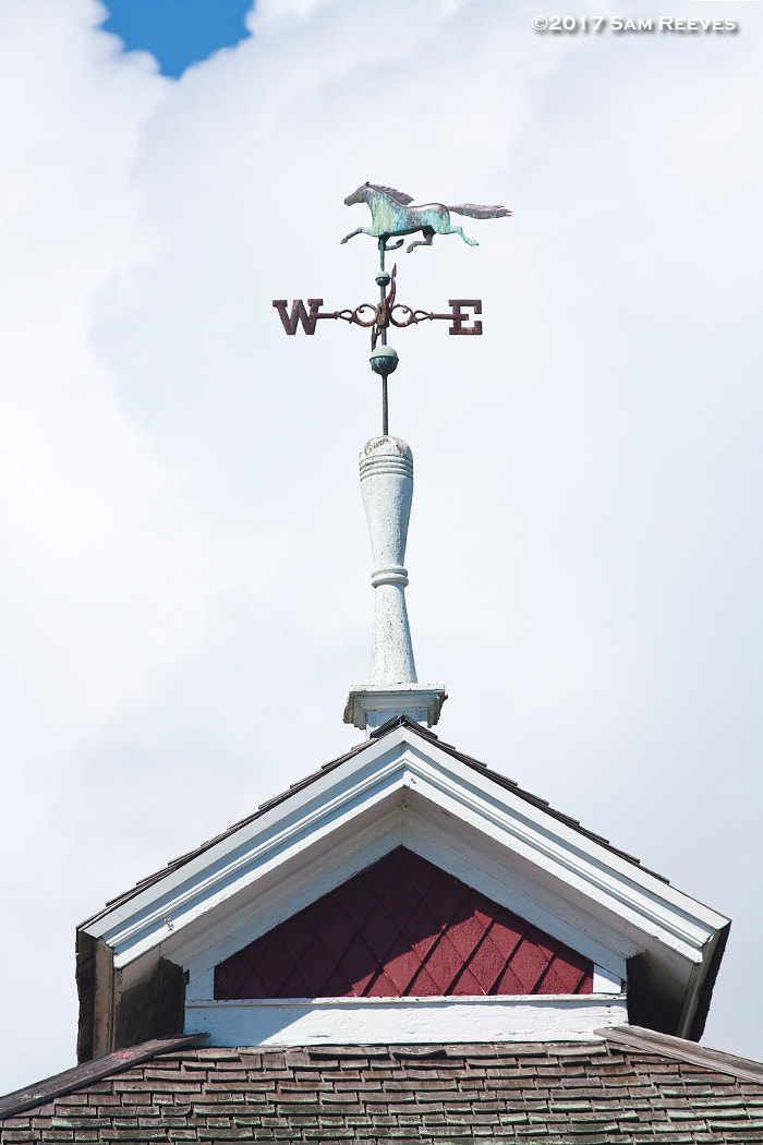 Canon EOS 50D + Canon EF 70-200mm F4L USM sample photo. Weather vane photography