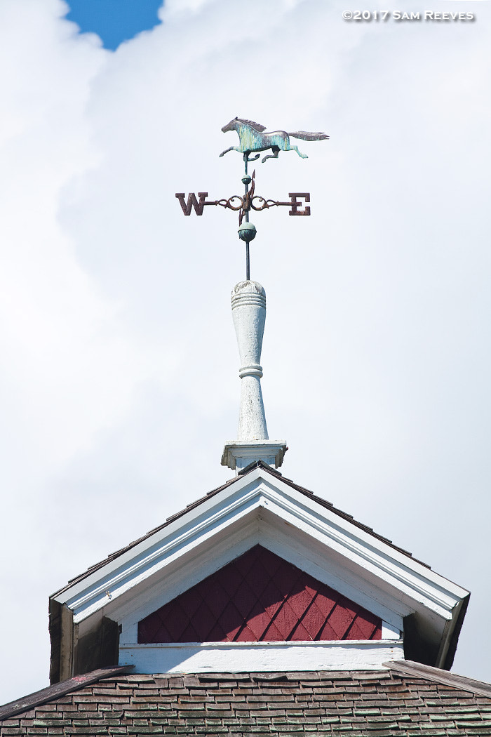 Canon EOS 50D sample photo. Weather vane photography