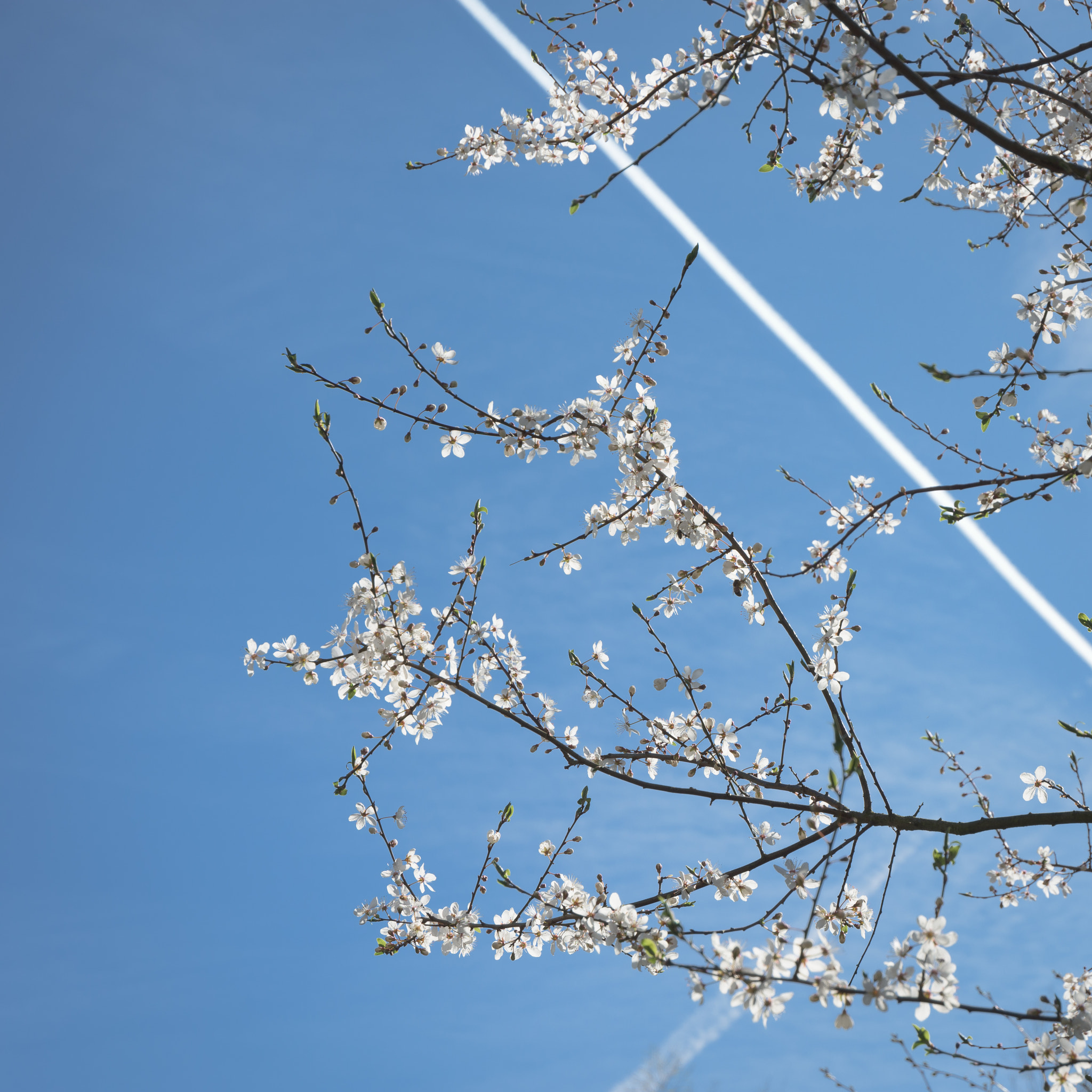 Nikon D7200 sample photo