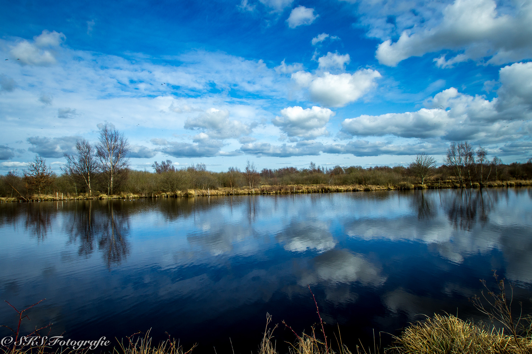 Sigma 10-20mm F3.5 EX DC HSM sample photo. Mg photography